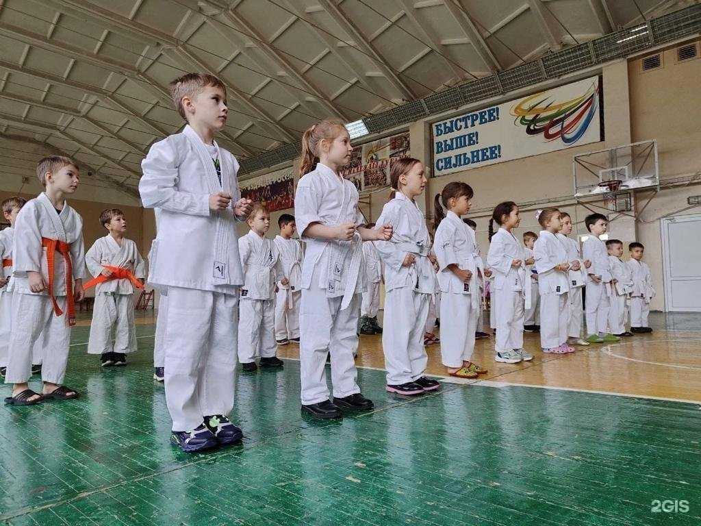 Отзывы на компанию BushiDo в Новороссийске c фото