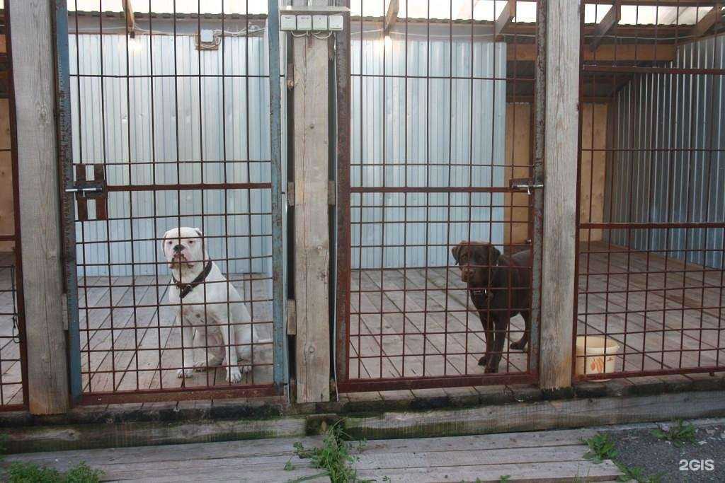 Отзывы на компанию Фауна в г. Нижний Тагил c фото