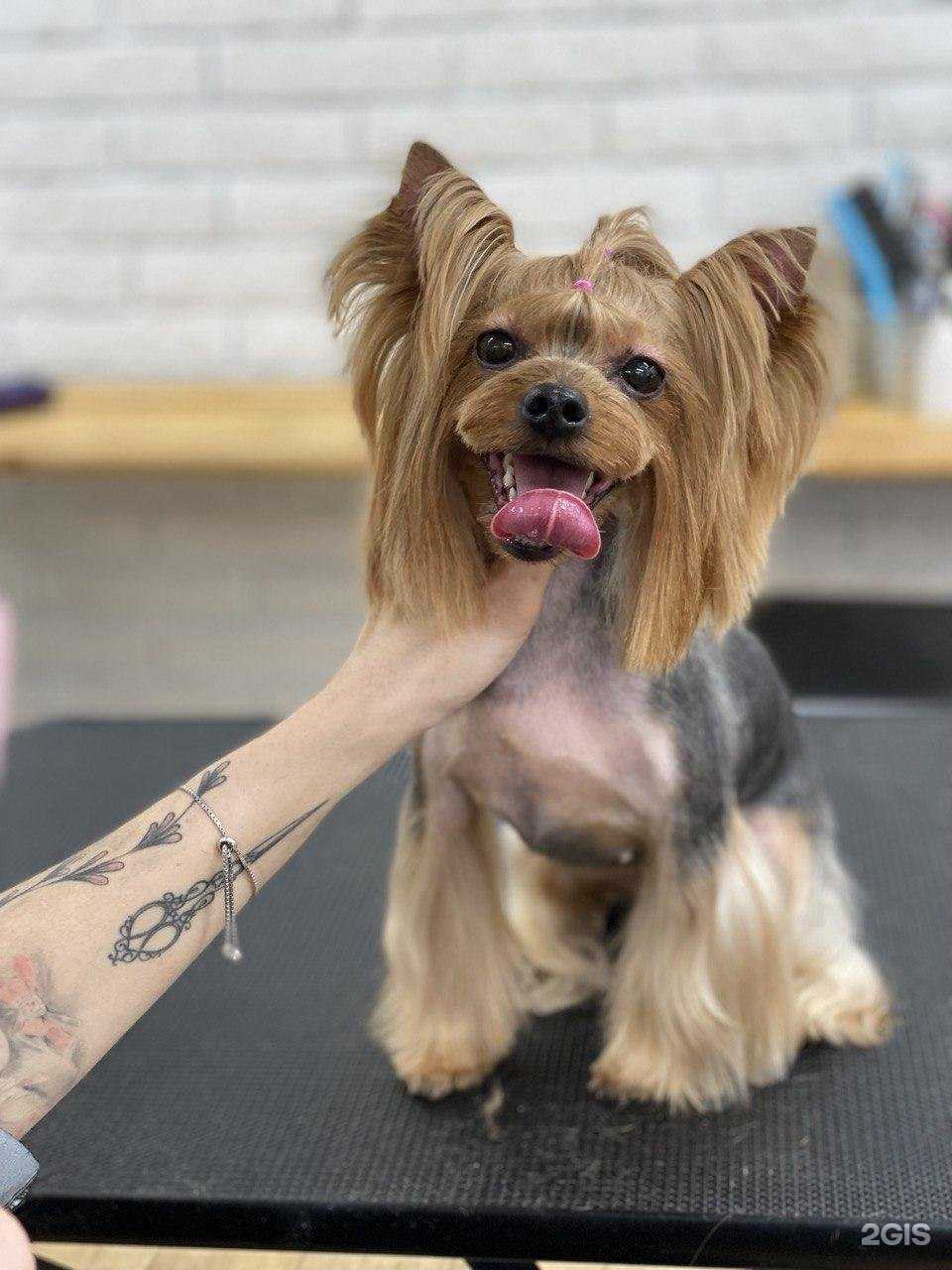 Отзывы на компанию Артемон в Твери c фото