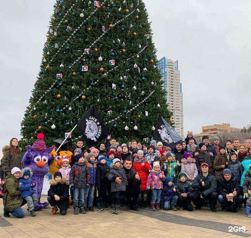 Отзывы на компанию Black Tigers в Волгограде c фото