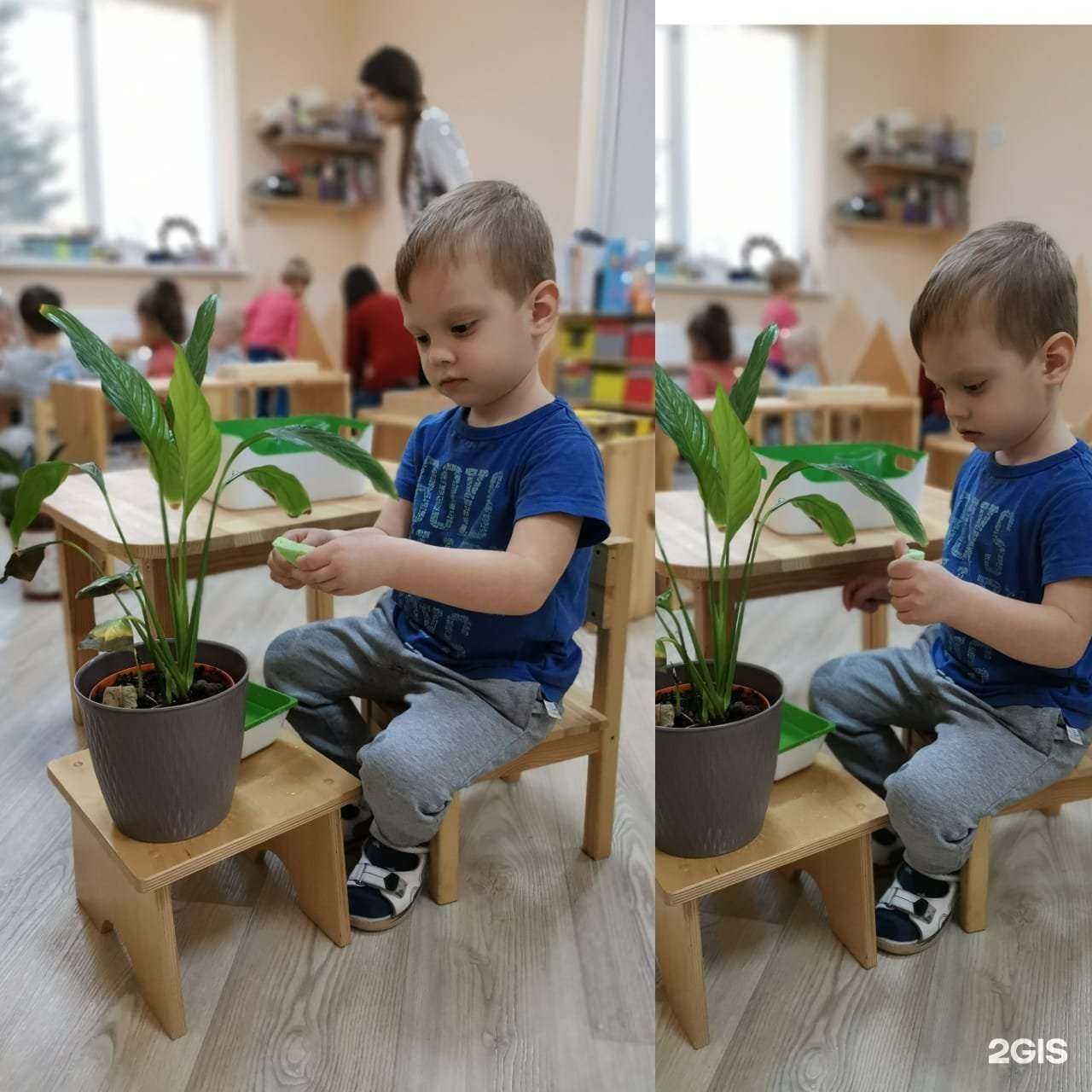 Отзывы на компанию Семья в Краснодаре c фото