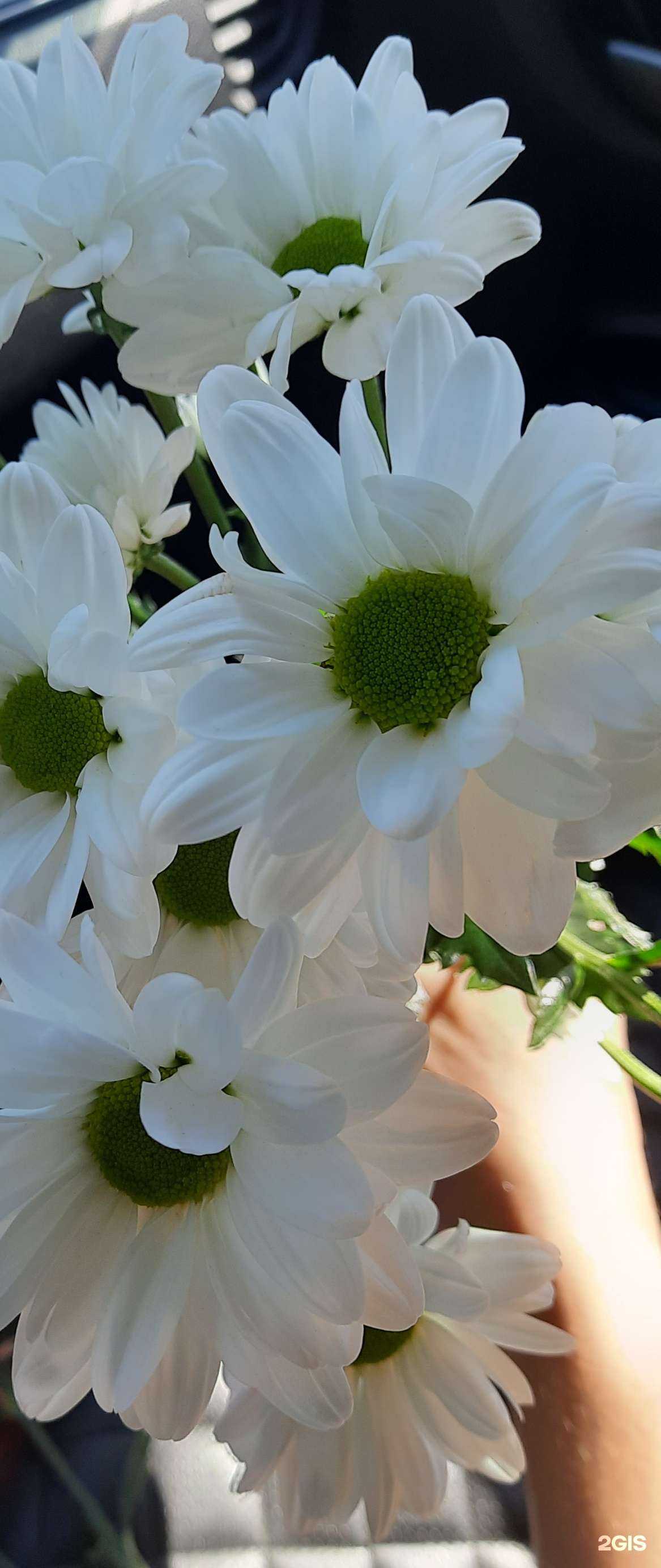 Отзывы на компанию Рускус в г. Волгоград c фото