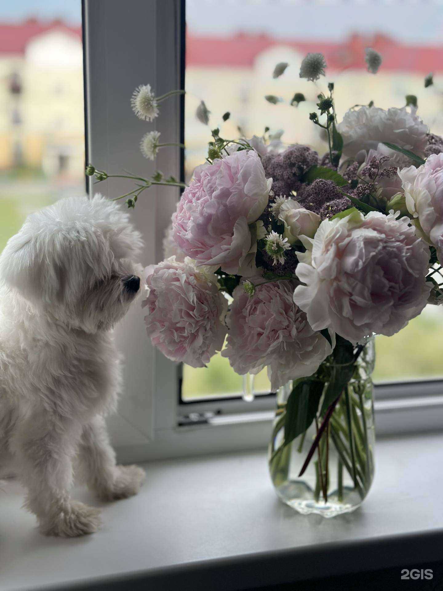Отзывы на компанию Apriori Flower в г. Челябинск c фото