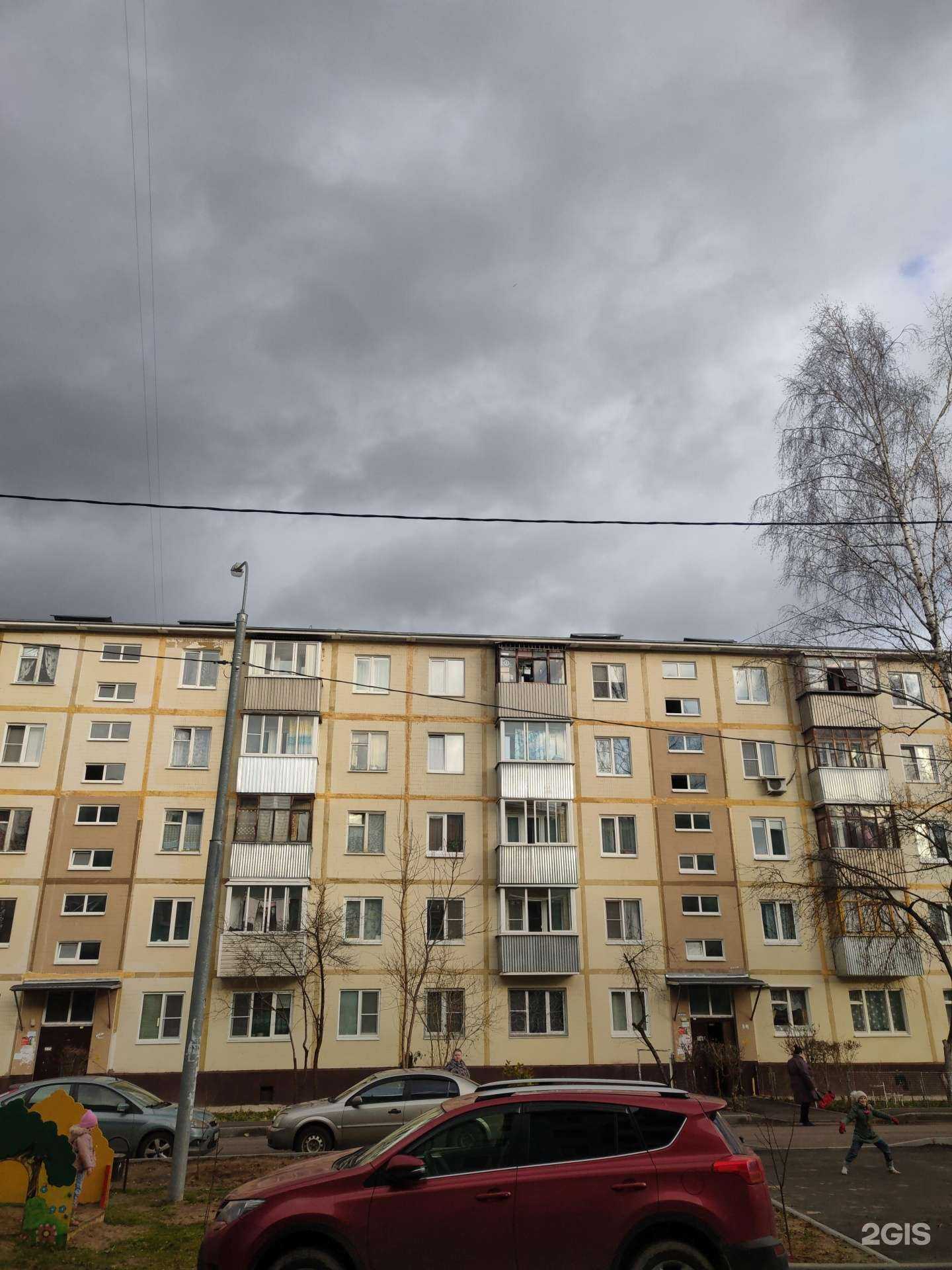 Отзывы на компанию Лапки в г. Ивантеевка c фото