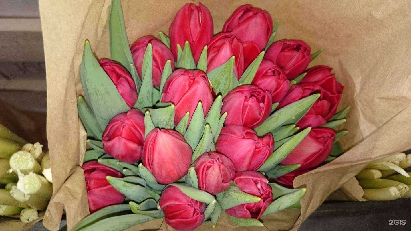 Отзывы на компанию Оптовая компания по продаже тюльпанов в Красноярске c фото
