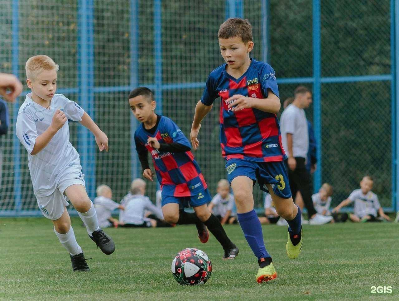 Отзывы на компанию Импульс в Туле c фото