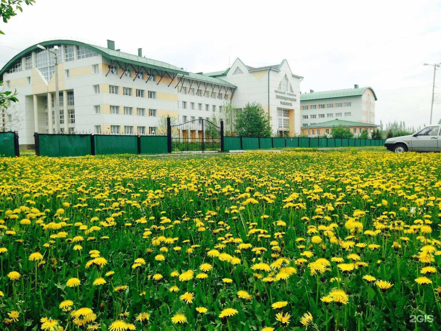 Отзывы на компанию Ручная акула в Уфе c фото