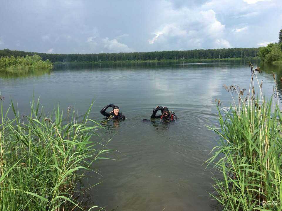 Отзывы на компанию Нерпа в г. Новосибирск c фото