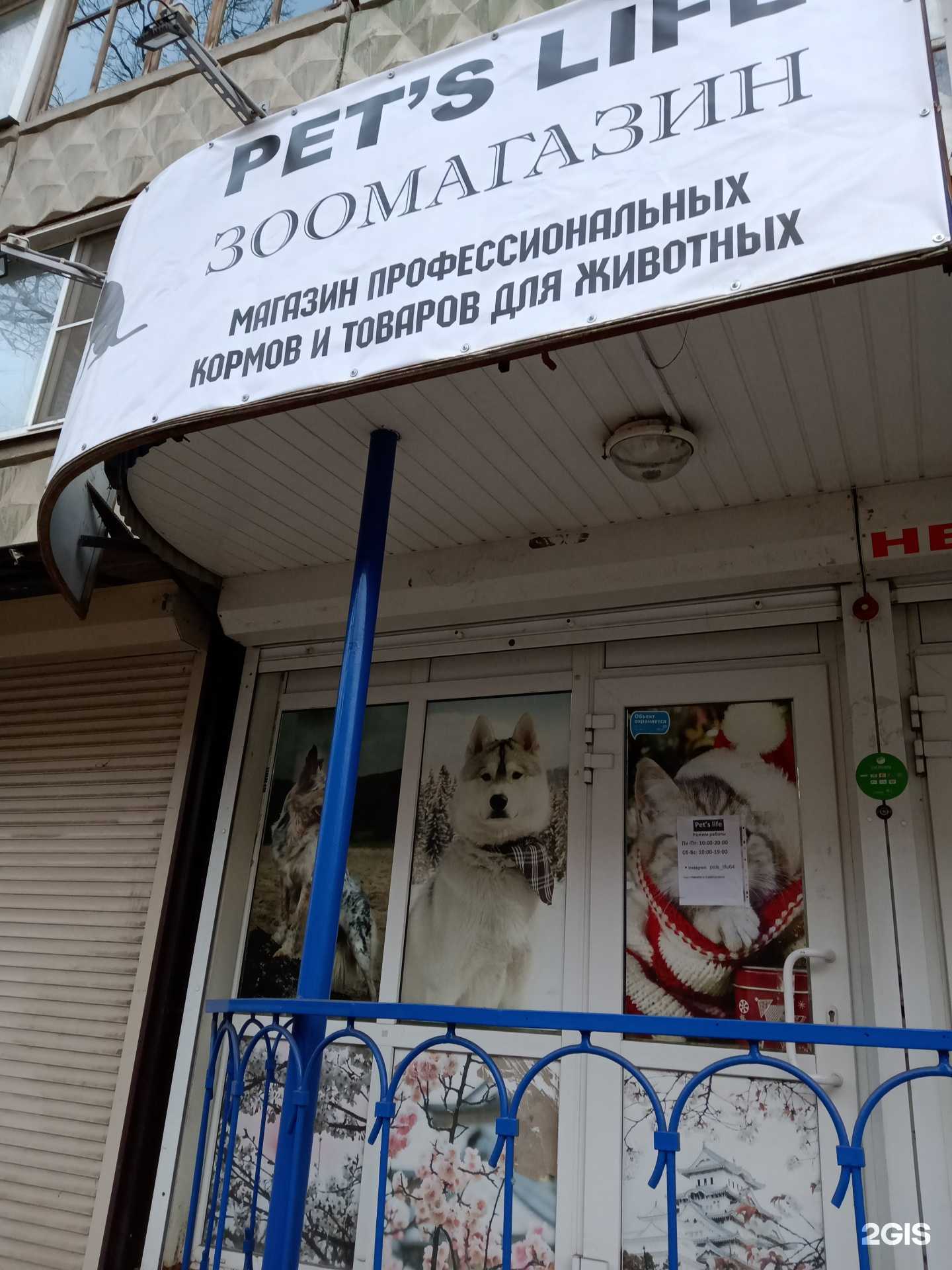 Отзывы на компанию ЗвериШоп в г. Энгельс c фото