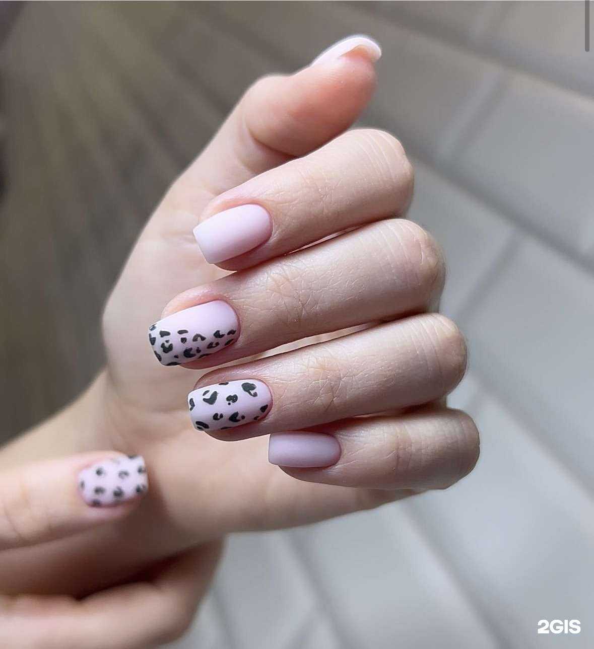 Отзывы на компанию Spring studio в Ульяновске c фото