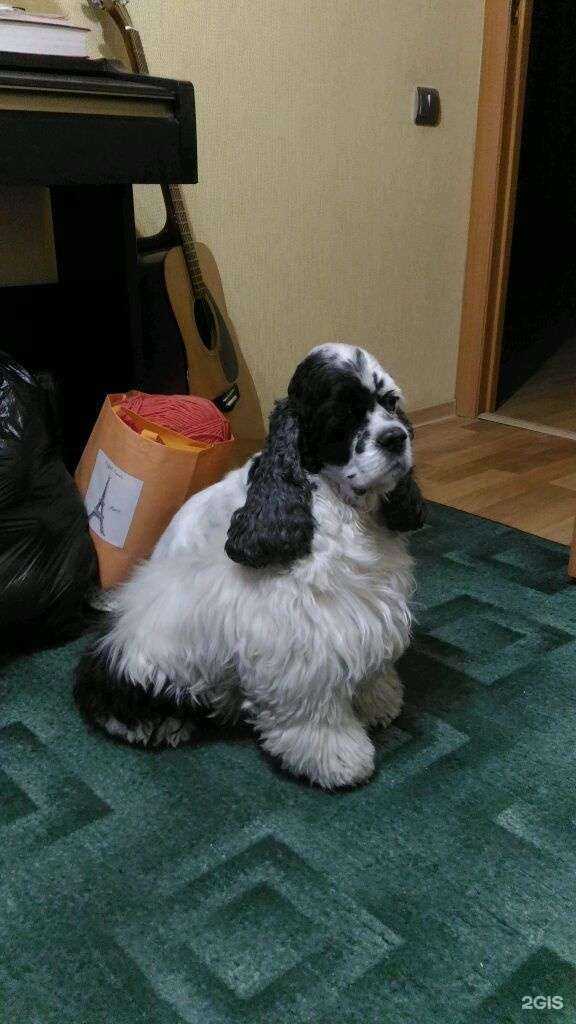 Отзывы на компанию Друг в Красноярске c фото