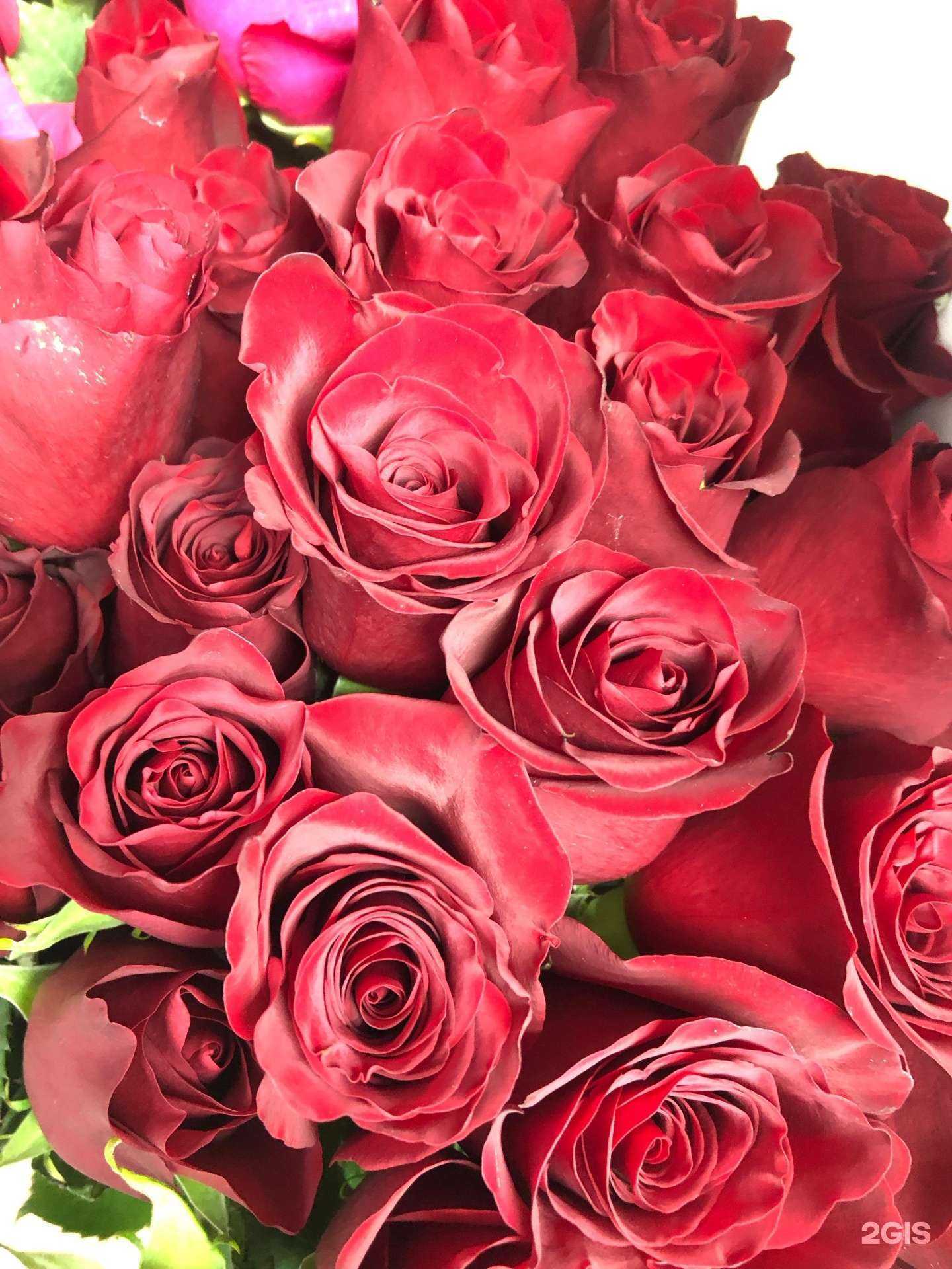 Отзывы на компанию Оазис в г. Курган c фото