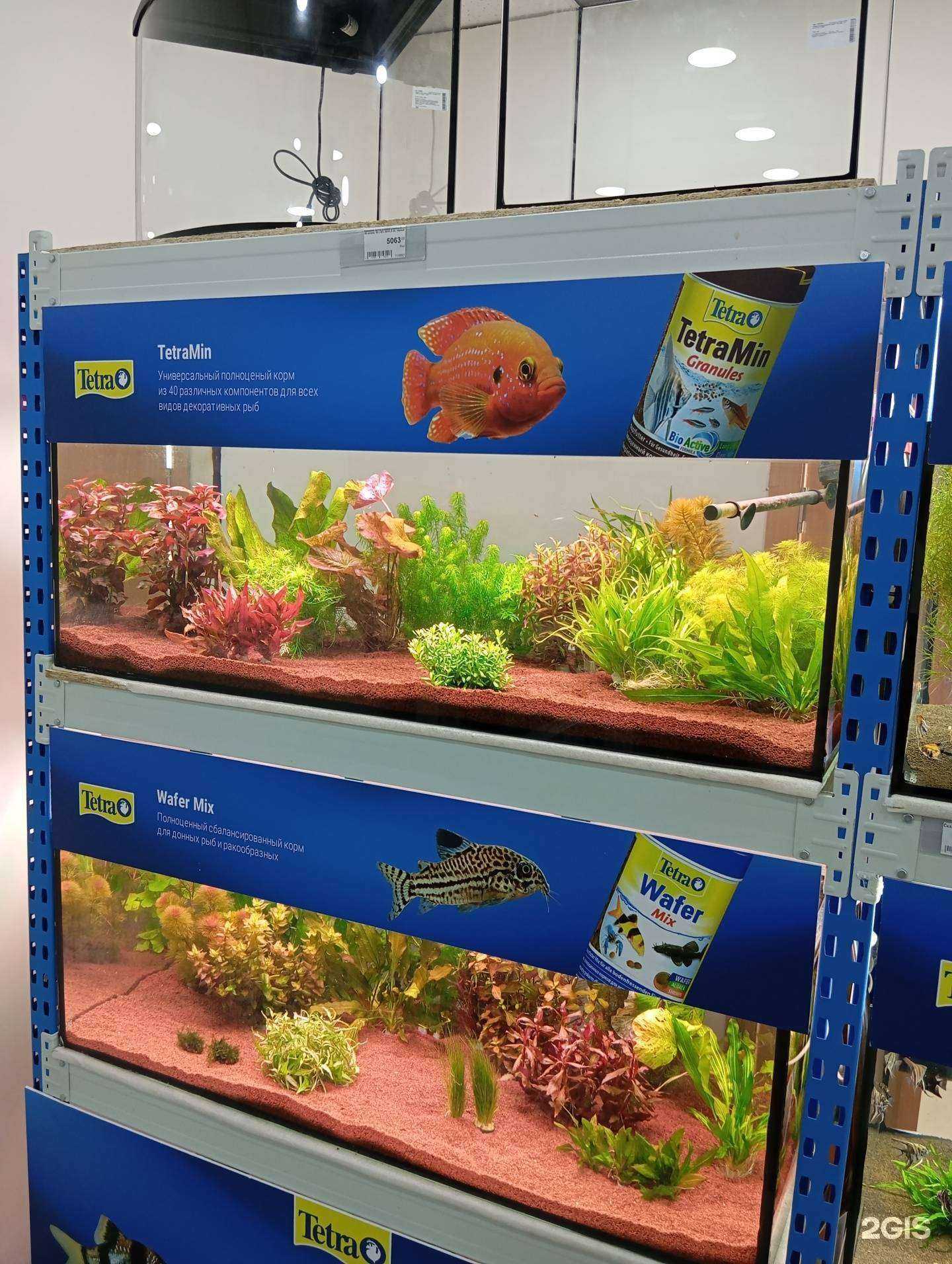 Отзывы на компанию Аквариум 38 в Иркутске c фото