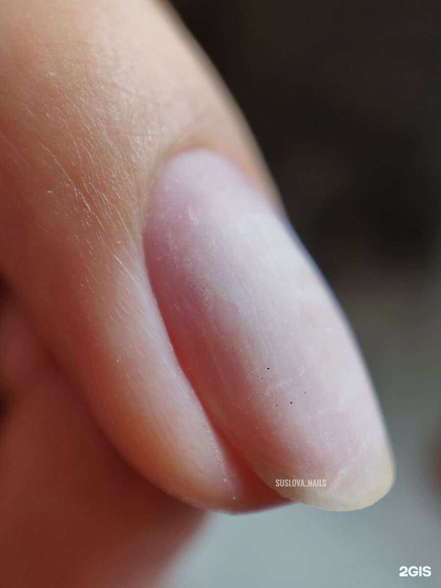 Отзывы на компанию Yuliya Suslova в Петрозаводске c фото