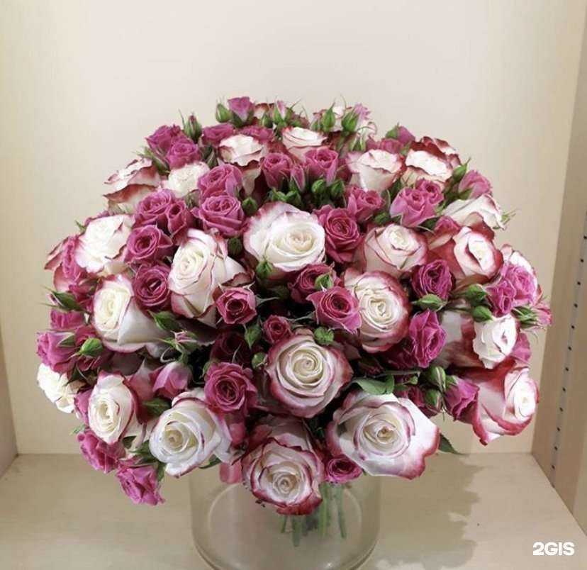 Отзывы на компанию Blossom в г. Балашиха c фото