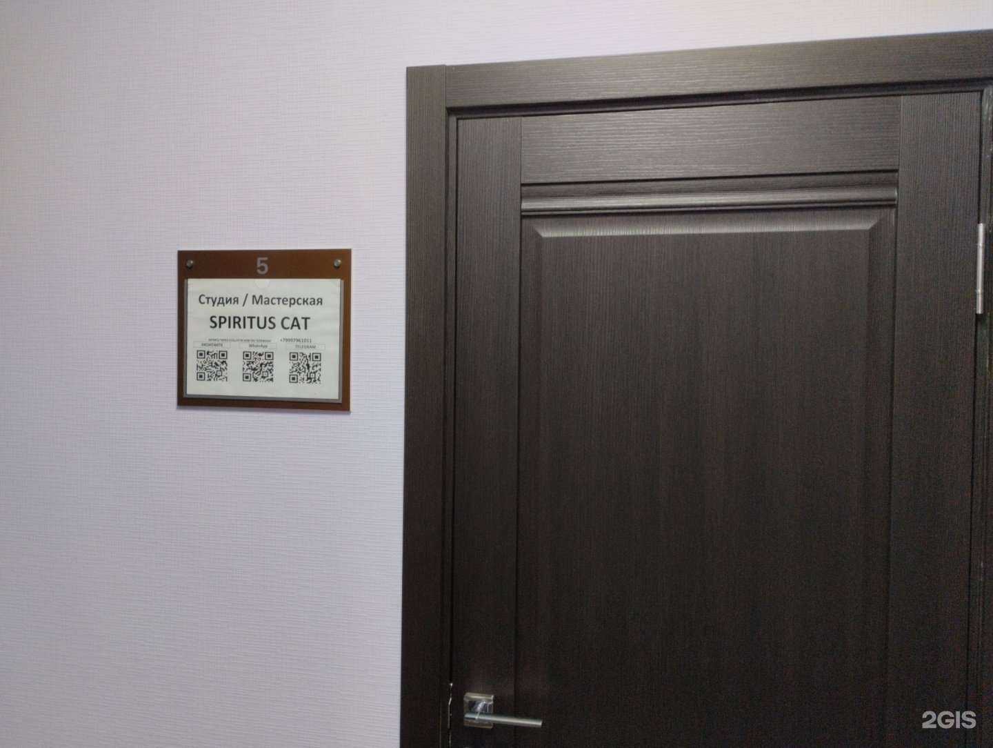 Отзывы на компанию Spiritus cat в Туле c фото