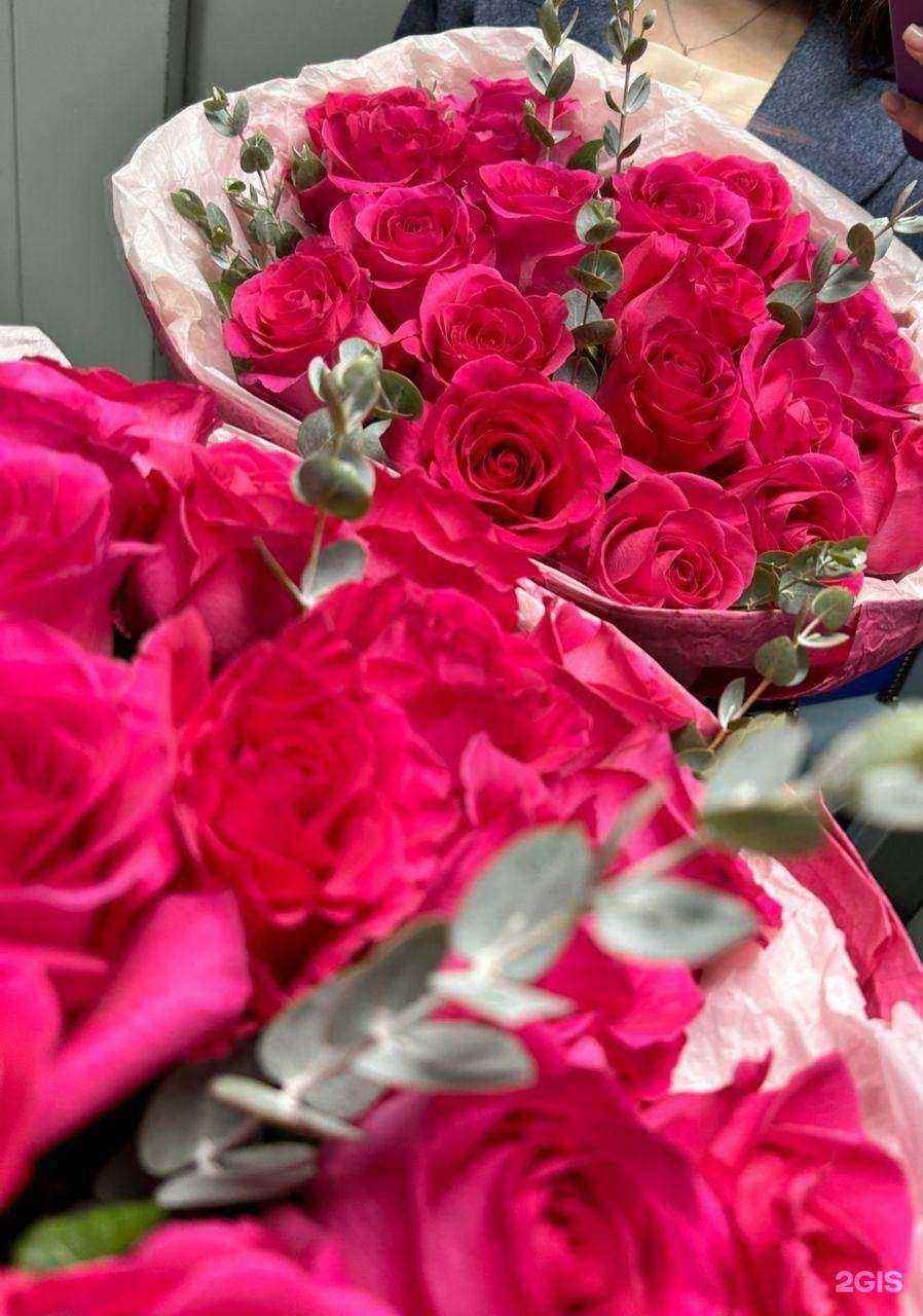 Отзывы на компанию Пион в Томске c фото