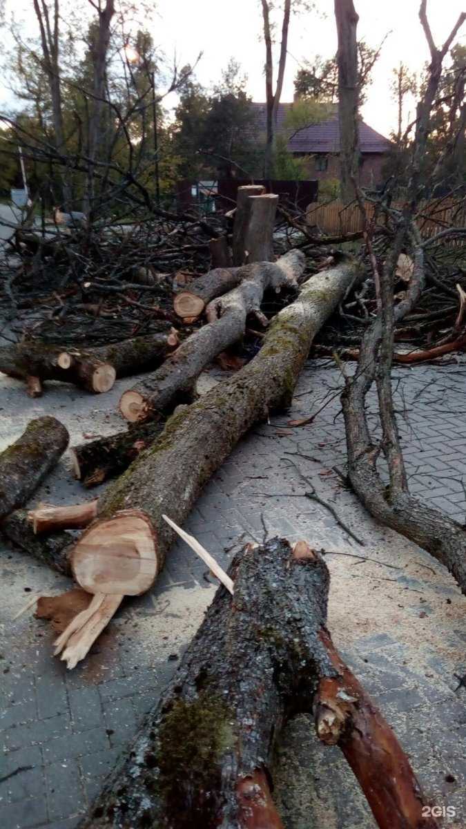 Отзывы на компанию АльпинСтрой39 в г. Калининград c фото