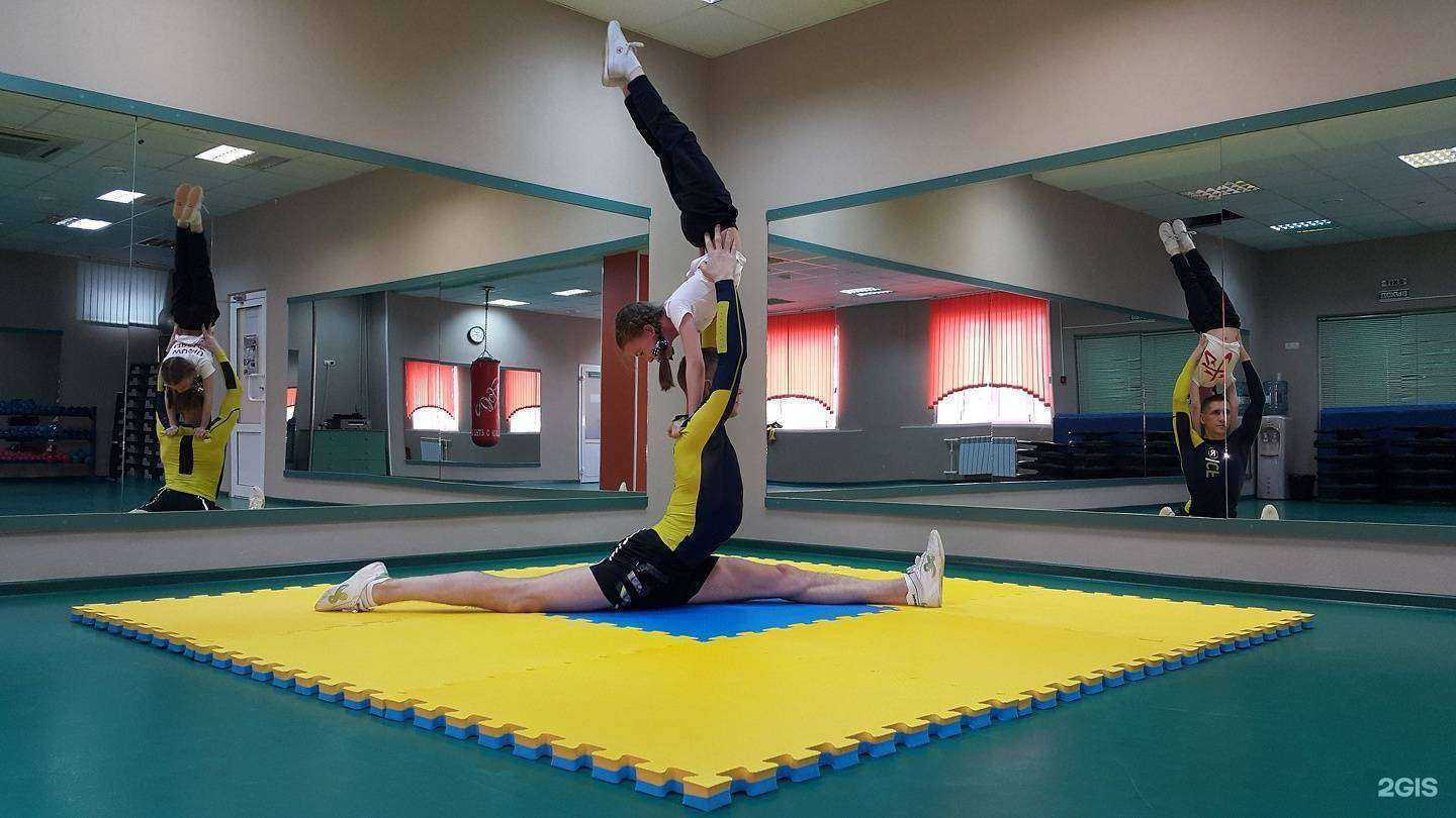 Отзывы на компанию Багира в г. Липецк c фото