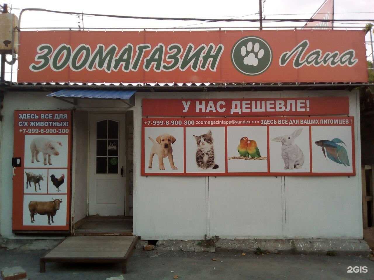 Отзывы на компанию Лапа в г. Аксай c фото