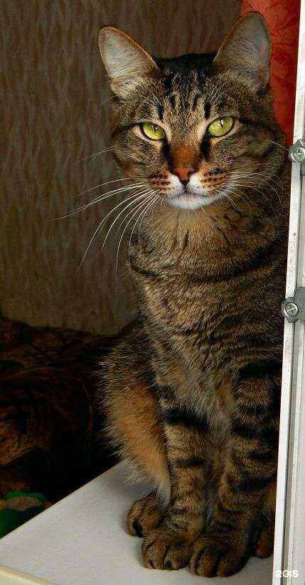 Отзывы на компанию Унивет в г. Барнаул c фото