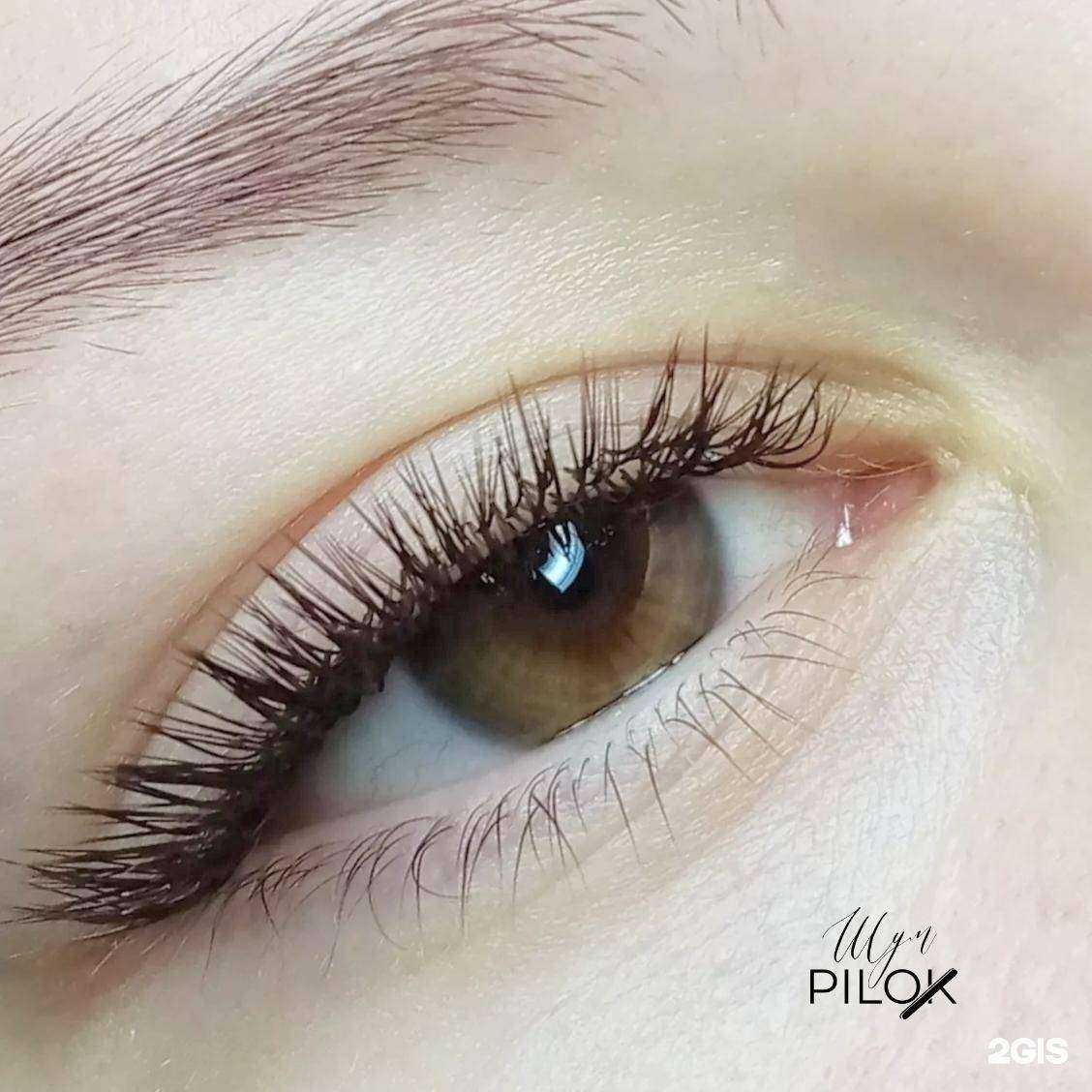 Отзывы на компанию Шум пилок в Владивостоке c фото