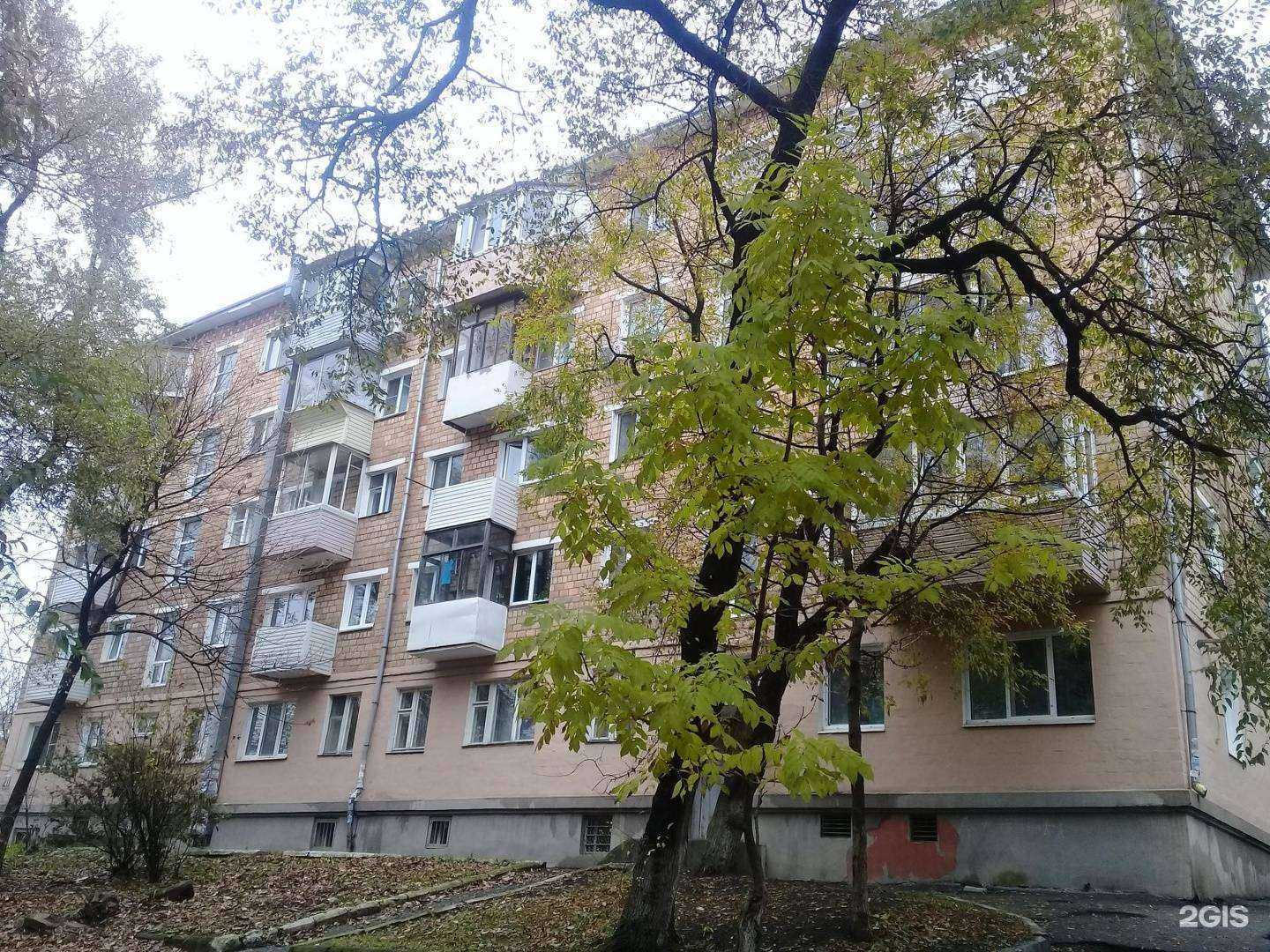 Отзывы на компанию Гусельки в Владивостоке c фото - фотография 2 из 2