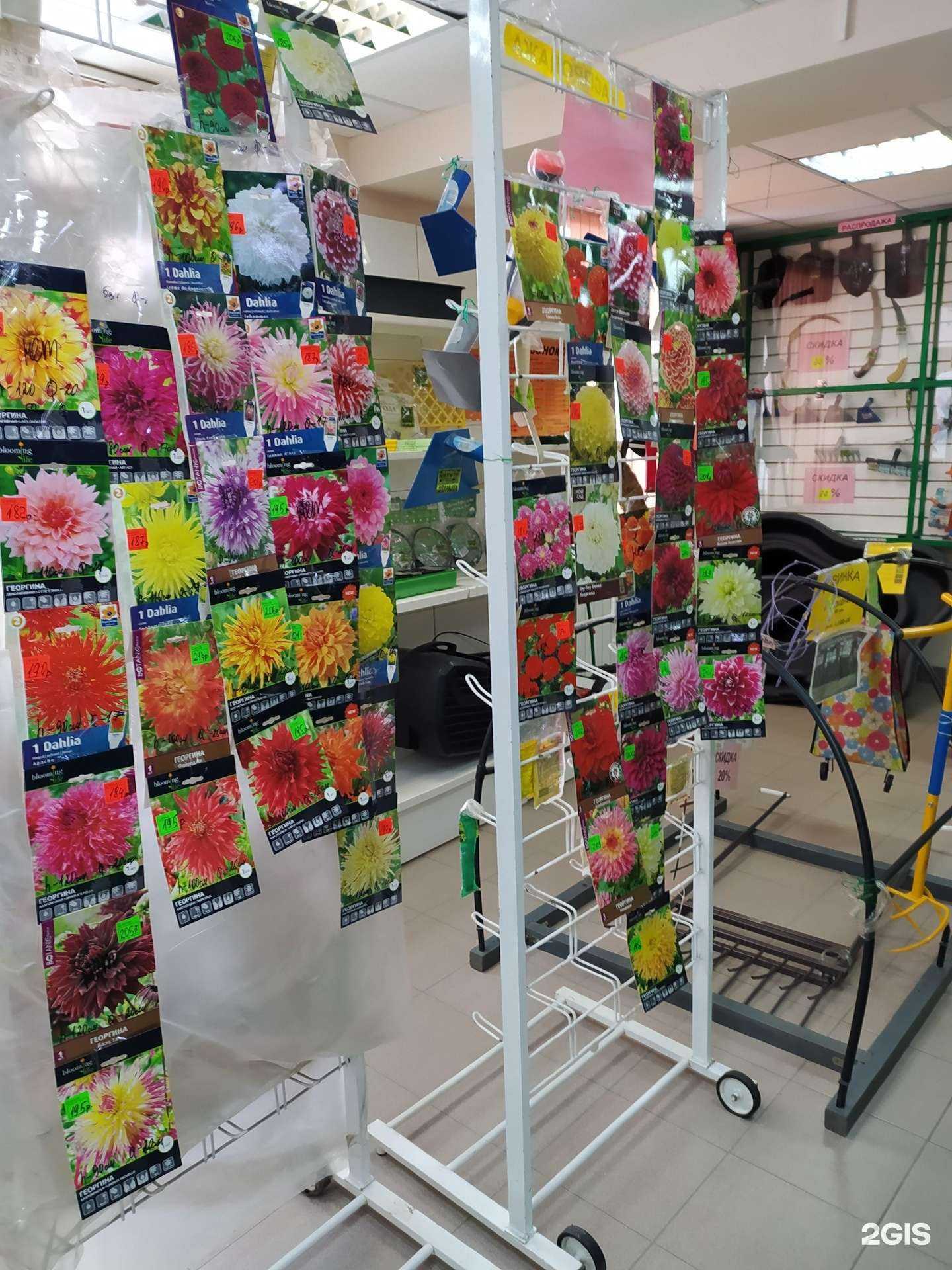 Отзывы на компанию Зеленый сад в Омске c фото