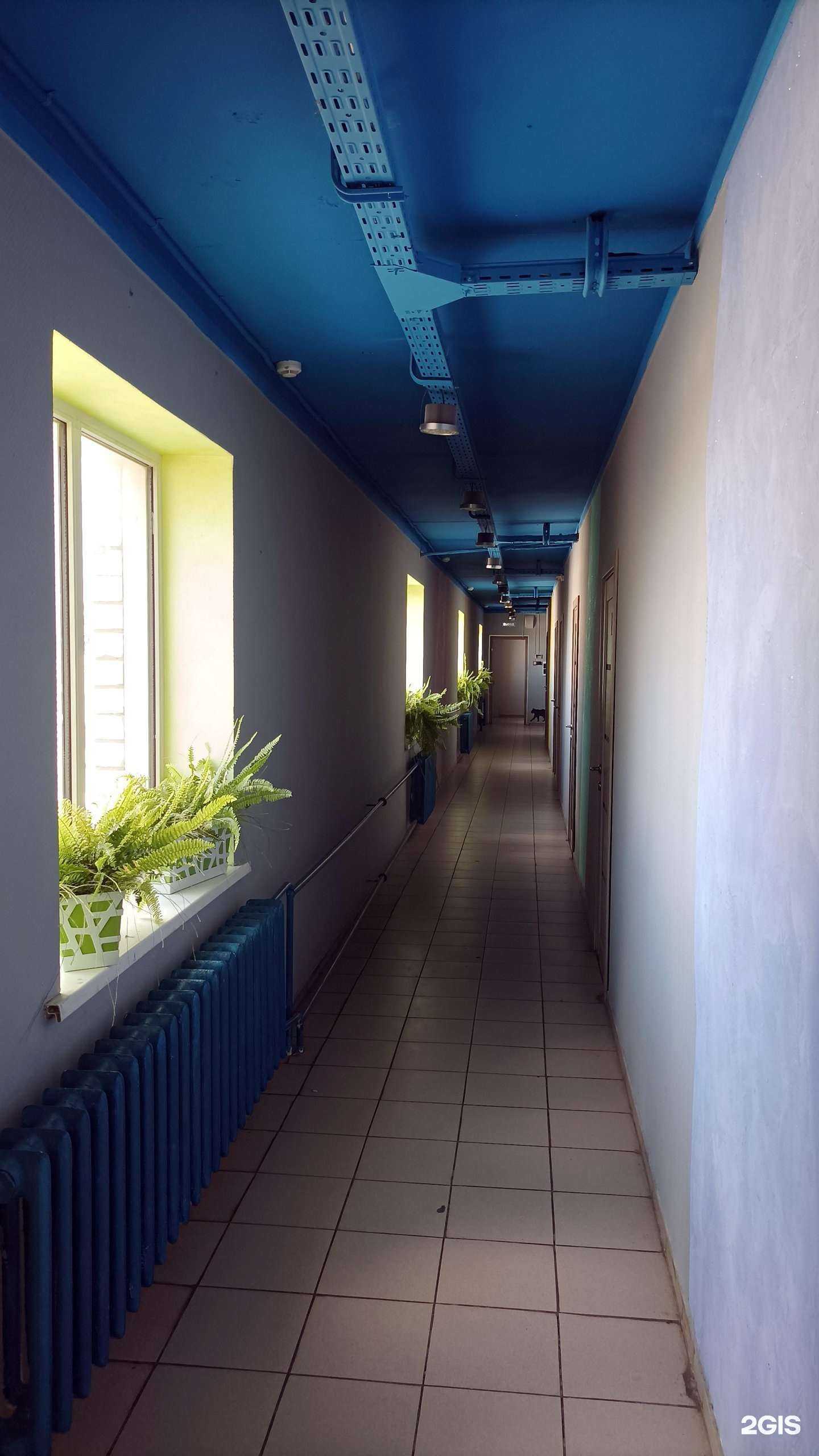 Отзывы на компанию Сетевые технологии в Самаре c фото