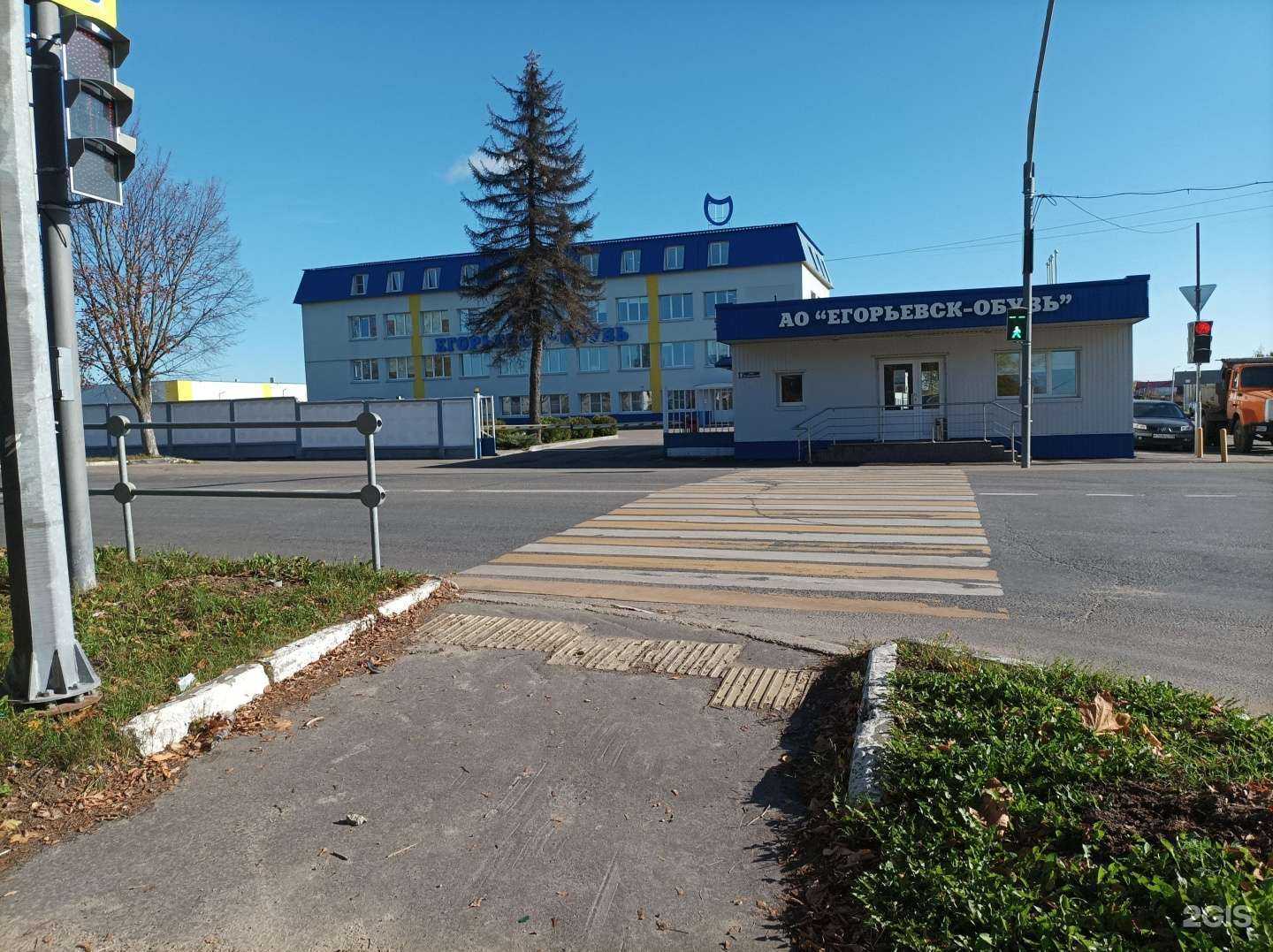 Отзывы на компанию Котофей в Егорьевске c фото