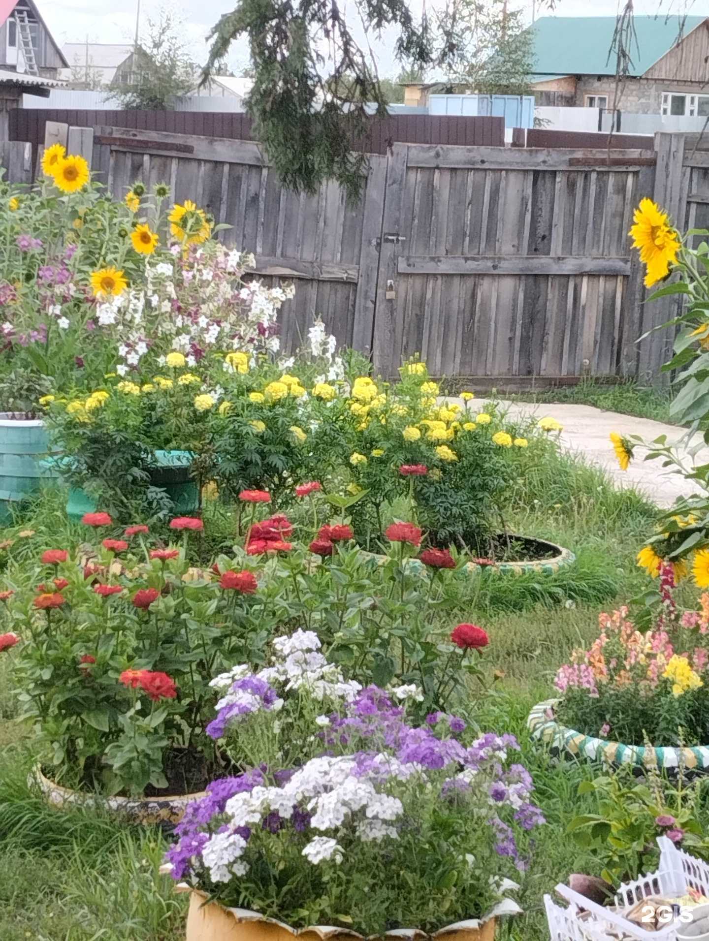 Отзывы на компанию Самолет Плюс в г. Якутск c фото