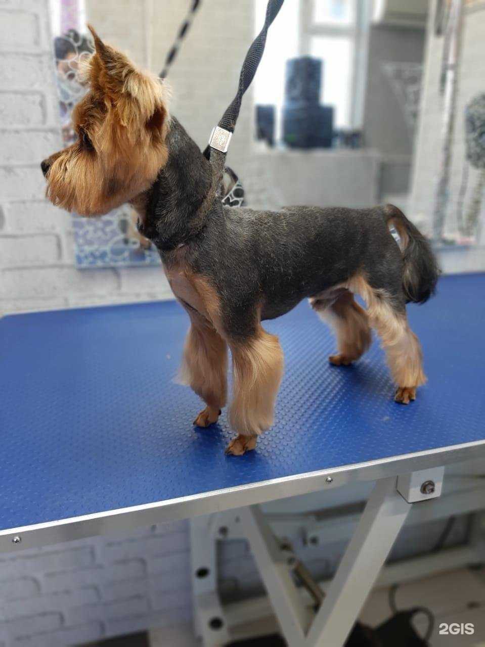 Отзывы на компанию Аконит в г. Сергиев Посад c фото