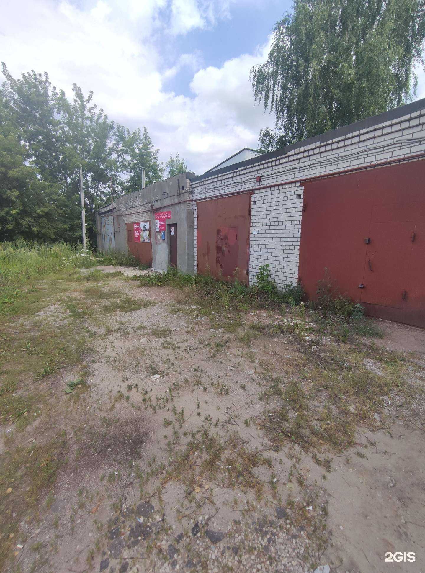 Отзывы на компанию ProPurina в Коврове c фото - фотография 2 из 2