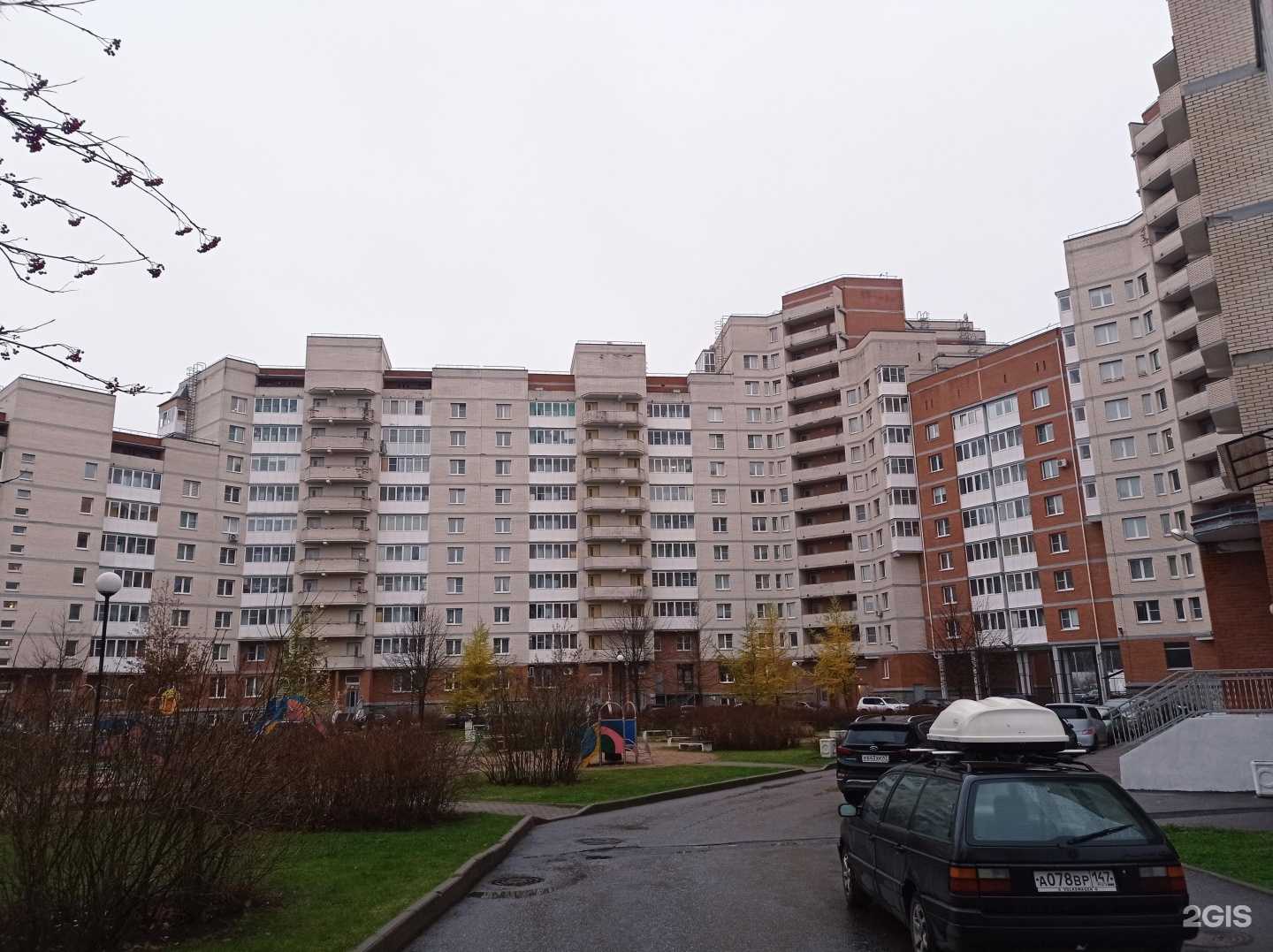 Отзывы на компанию Домино в г. Сосновый Бор c фото