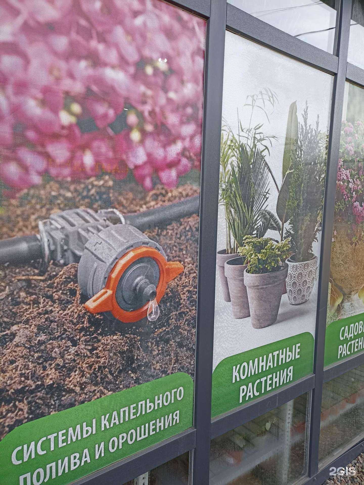 Отзывы на компанию Магнолия в Минеральных Водах c фото