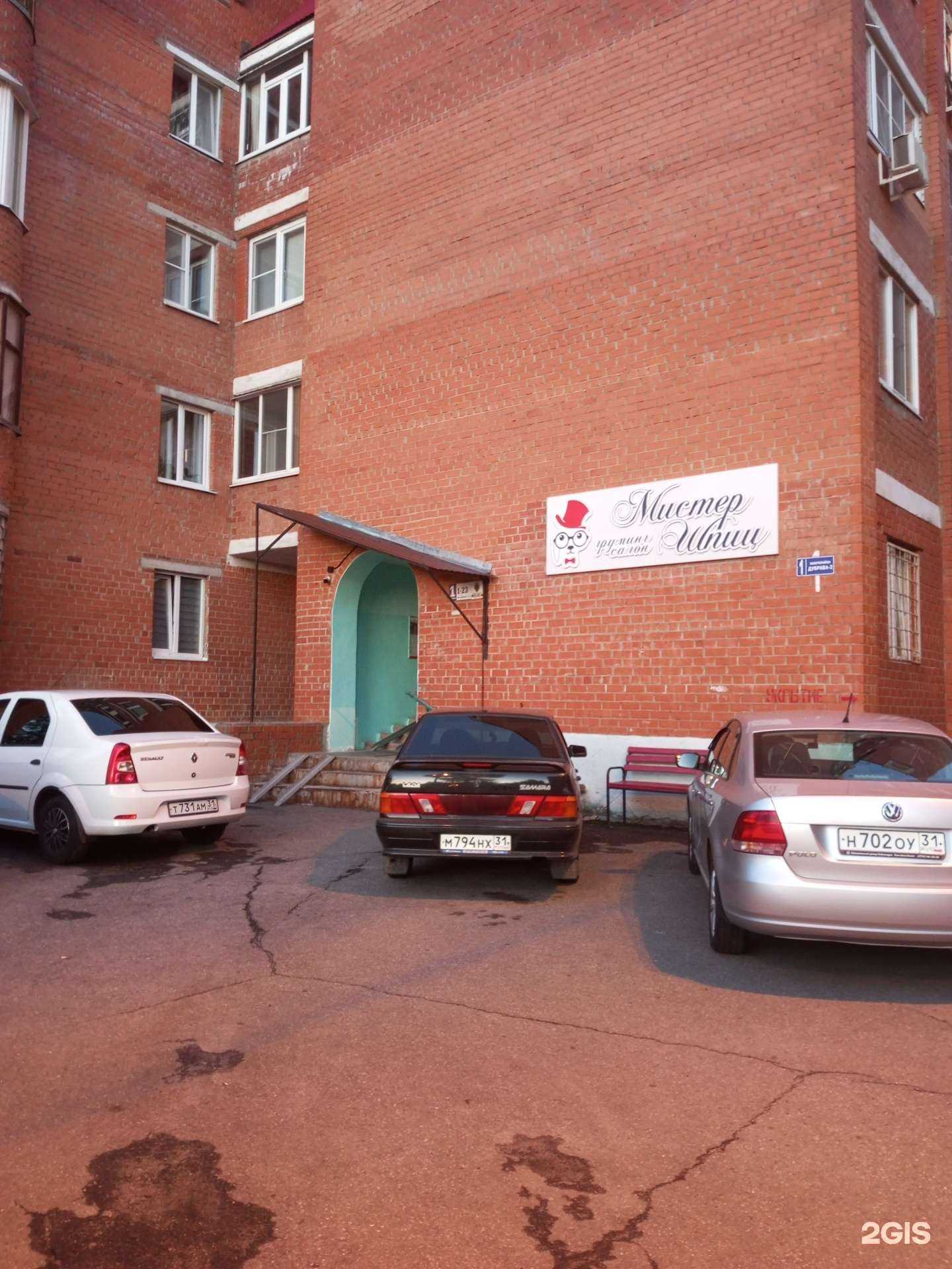 Отзывы на компанию Мистер Шпиц в г. Старый Оскол c фото