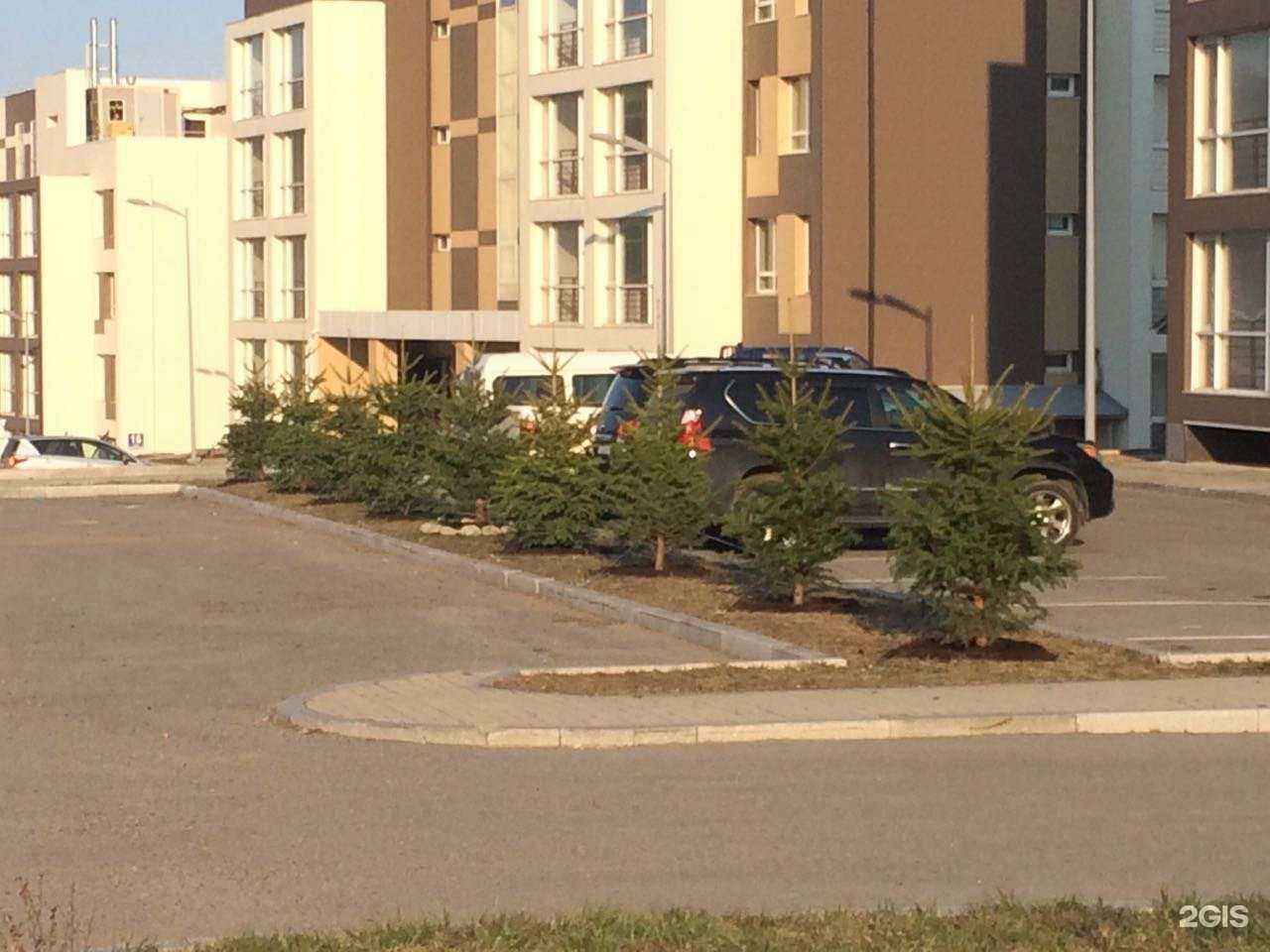 Отзывы на компанию Владсад в Владивостоке c фото