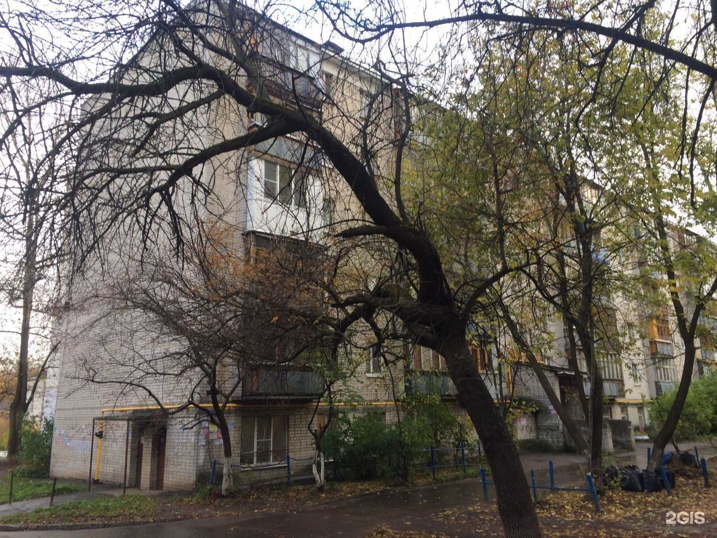 Отзывы на компанию Твой Парикмахер в Нижнем Новгороде c фото - фотография 2 из 2