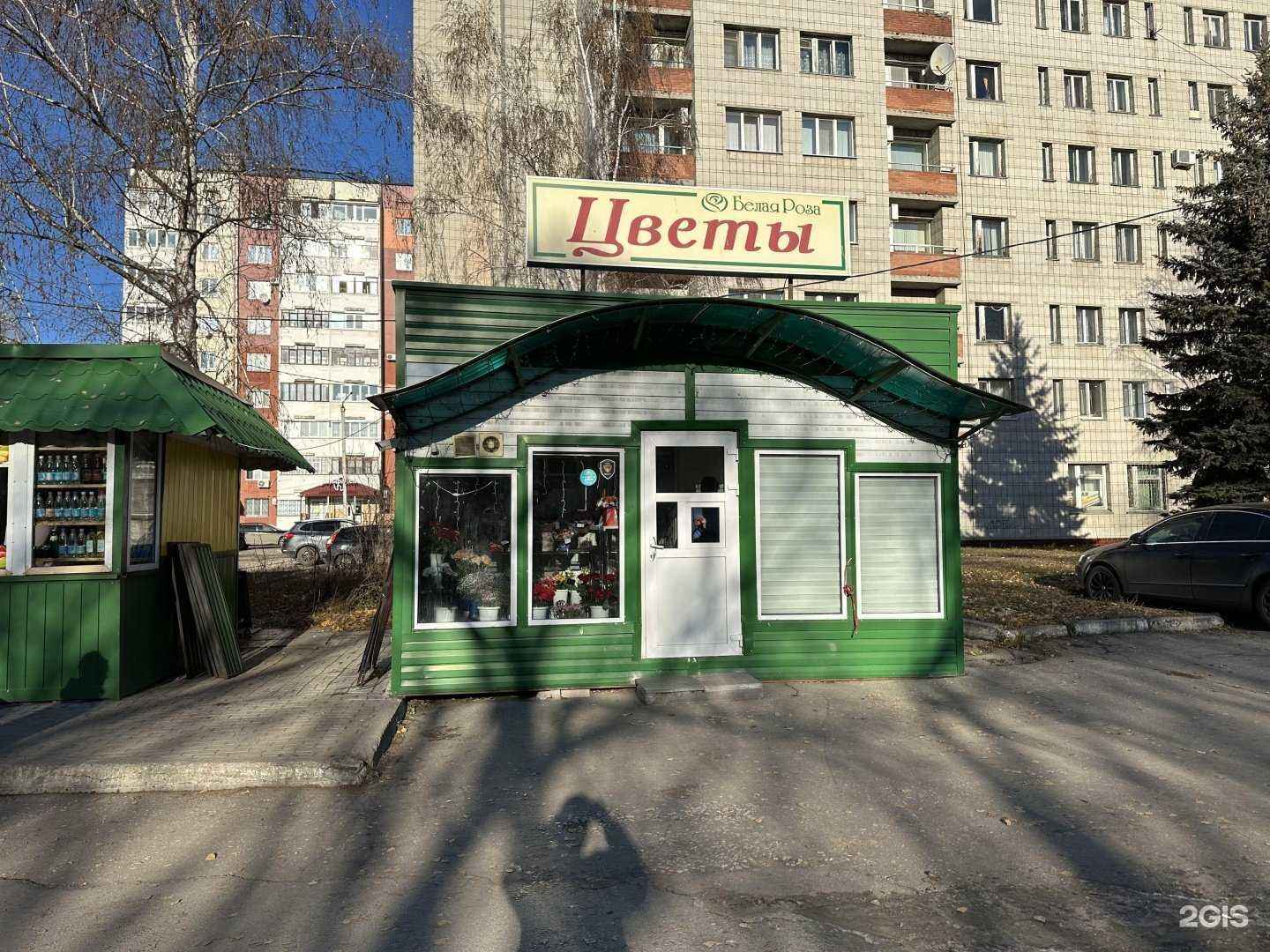 Отзывы на компанию Белая роза в Димитровграде c фото