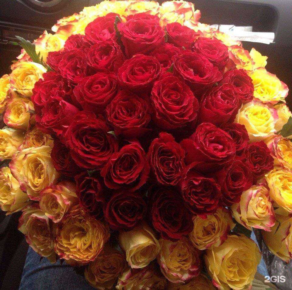 Отзывы на компанию Red Rose в г. Ульяновск c фото