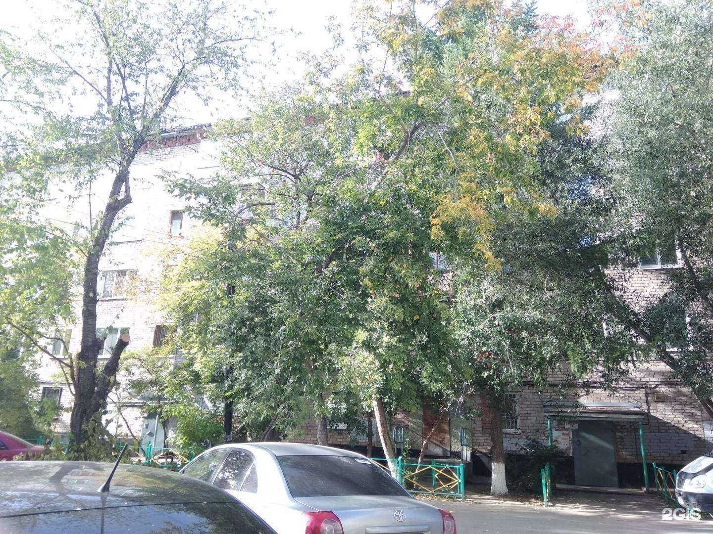 Отзывы на компанию Мой зверь в Перми c фото - фотография 2 из 2