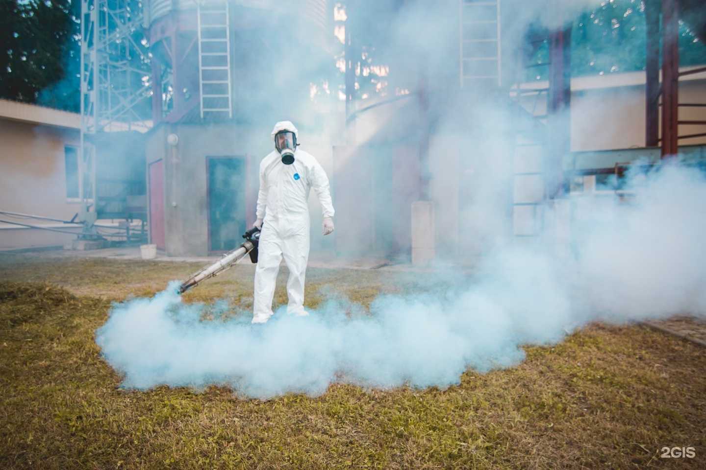 Отзывы на компанию Евродез в г. Ростов-на-Дону c фото