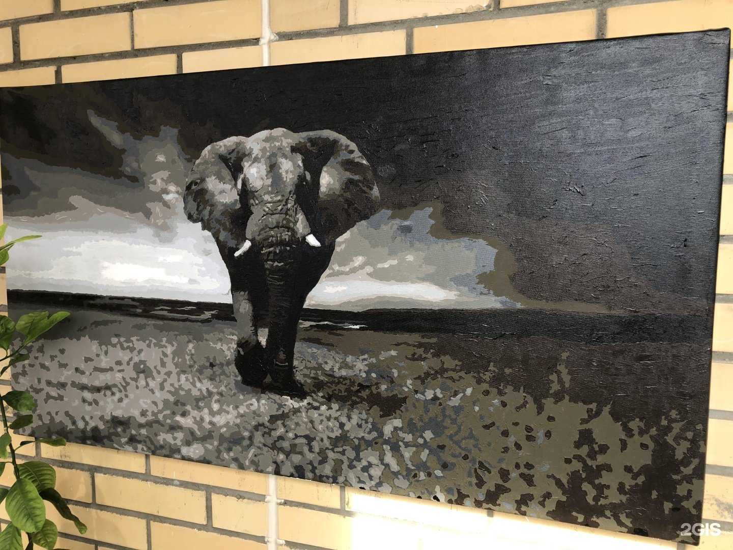 Отзывы на компанию А1 формат в г. Новосибирск c фото