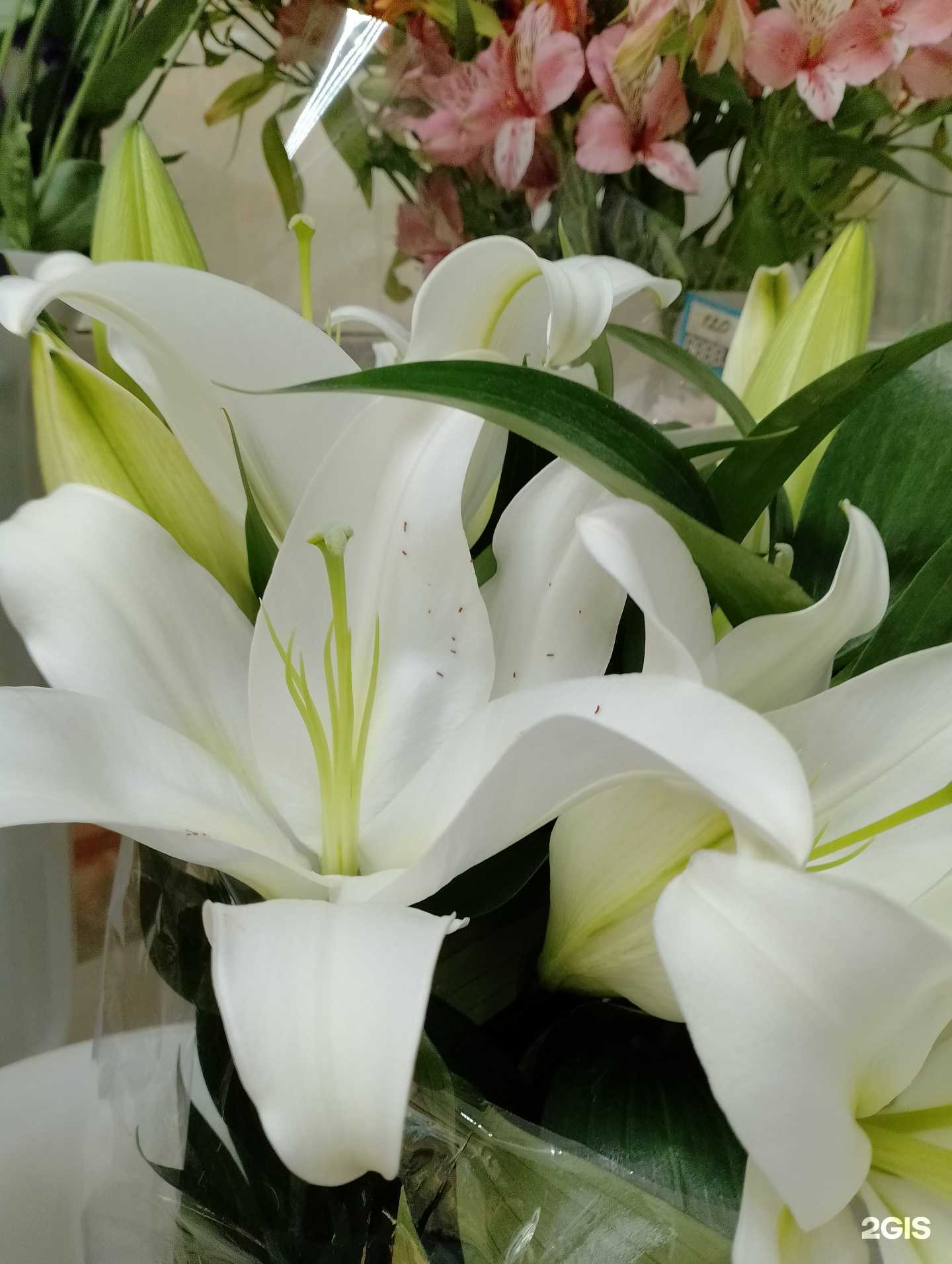 Отзывы на компанию Цветочный Edem в Геленджике c фото