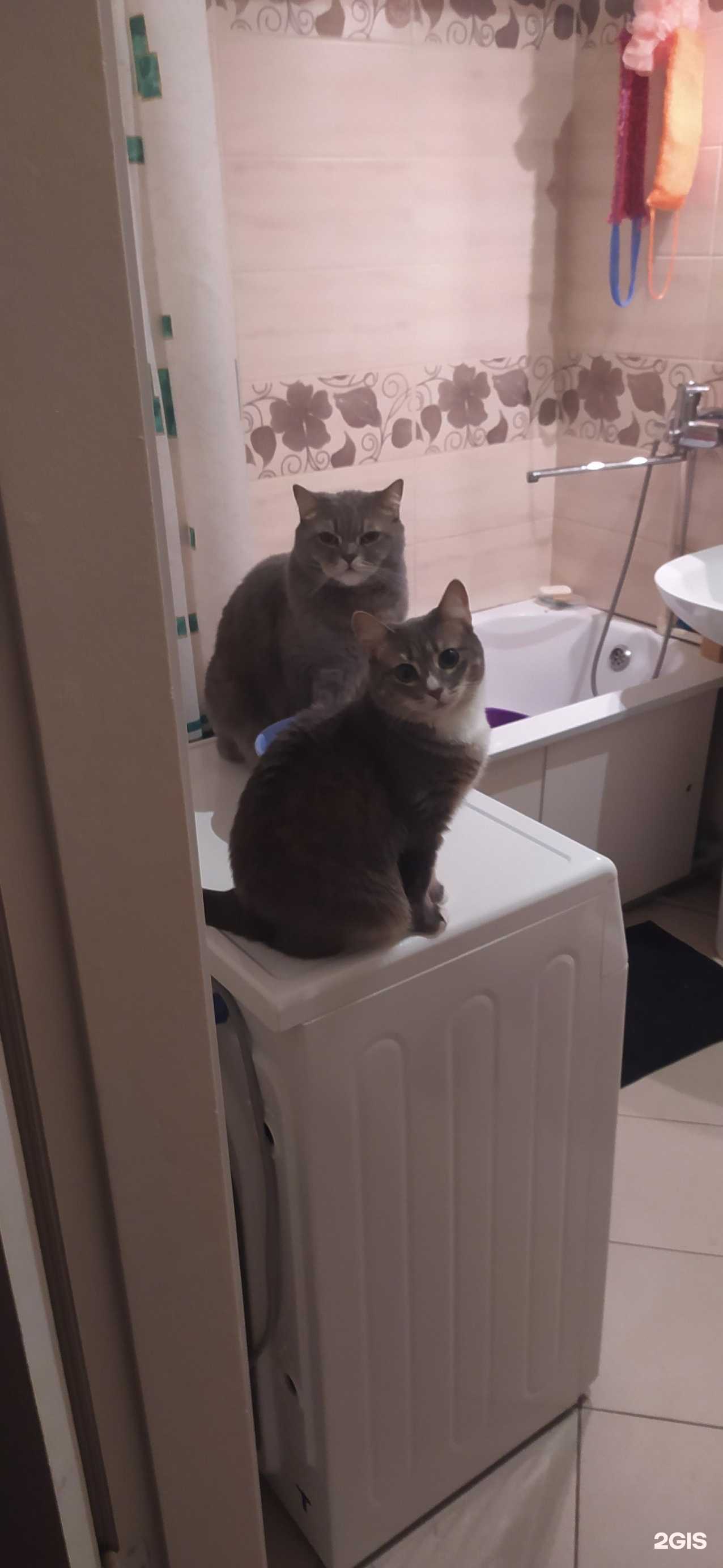 Отзывы на компанию Орбита в Сыктывкаре c фото