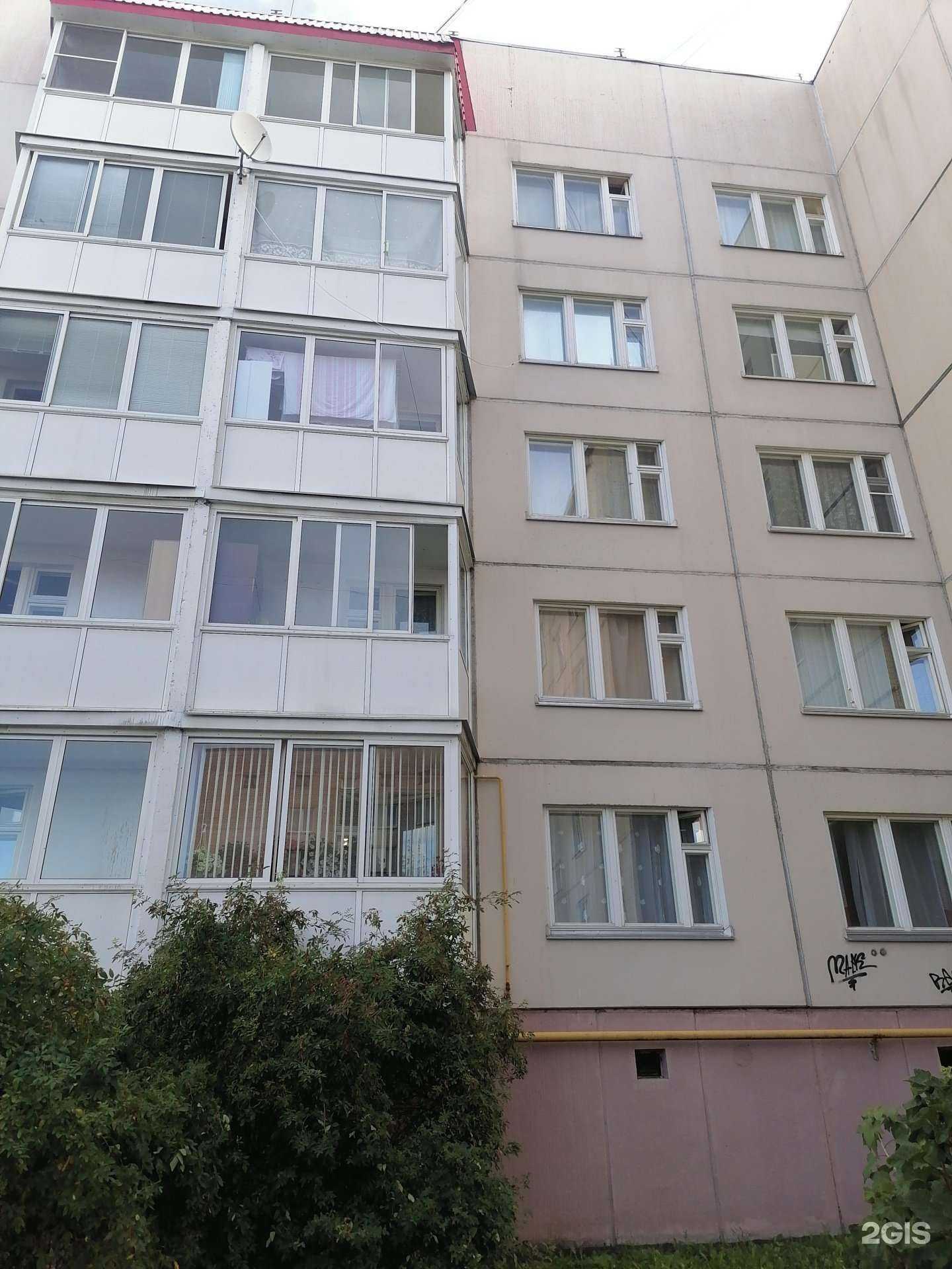 Отзывы на компанию Лотос в Гатчине c фото - фотография 2 из 2