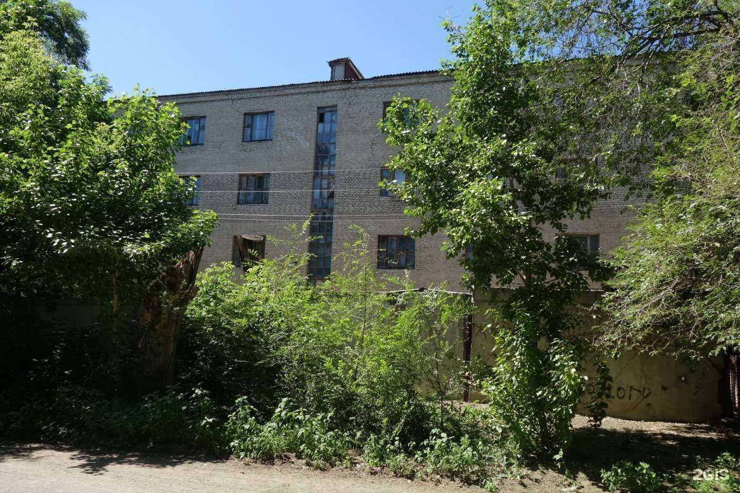 Отзывы на компанию Приют для бездомных животных в Саратове c фото - фотография 2 из 2