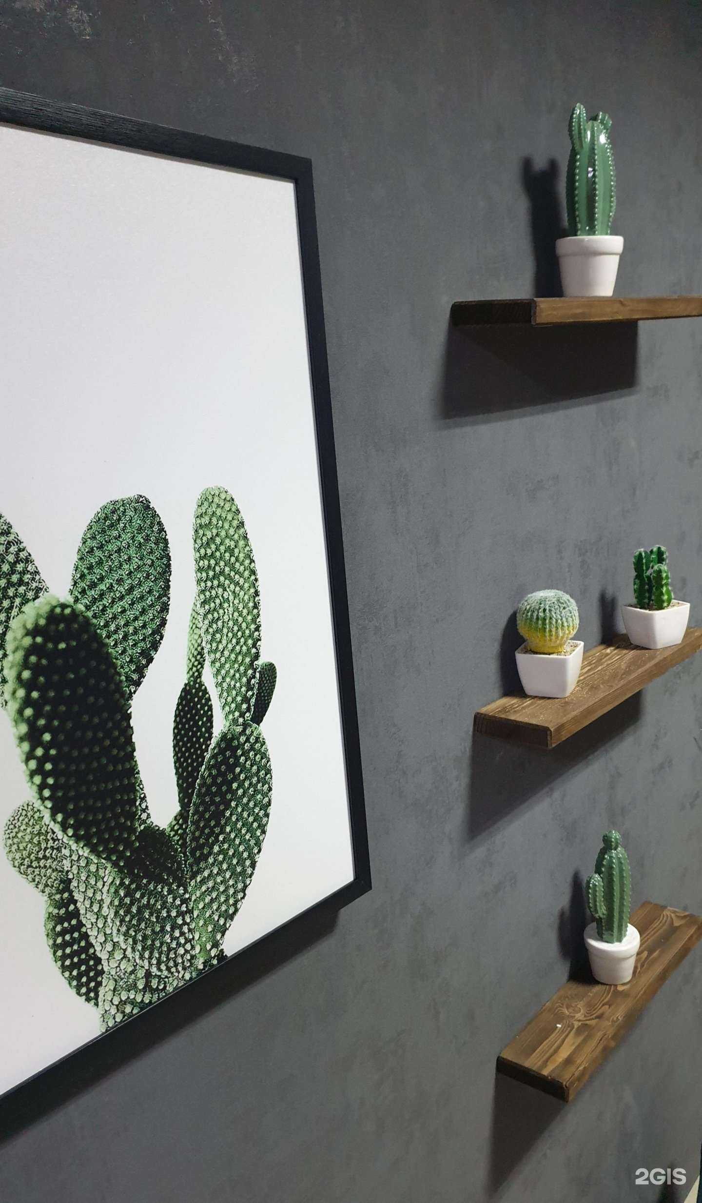 Отзывы на компанию Лето в Чите c фото