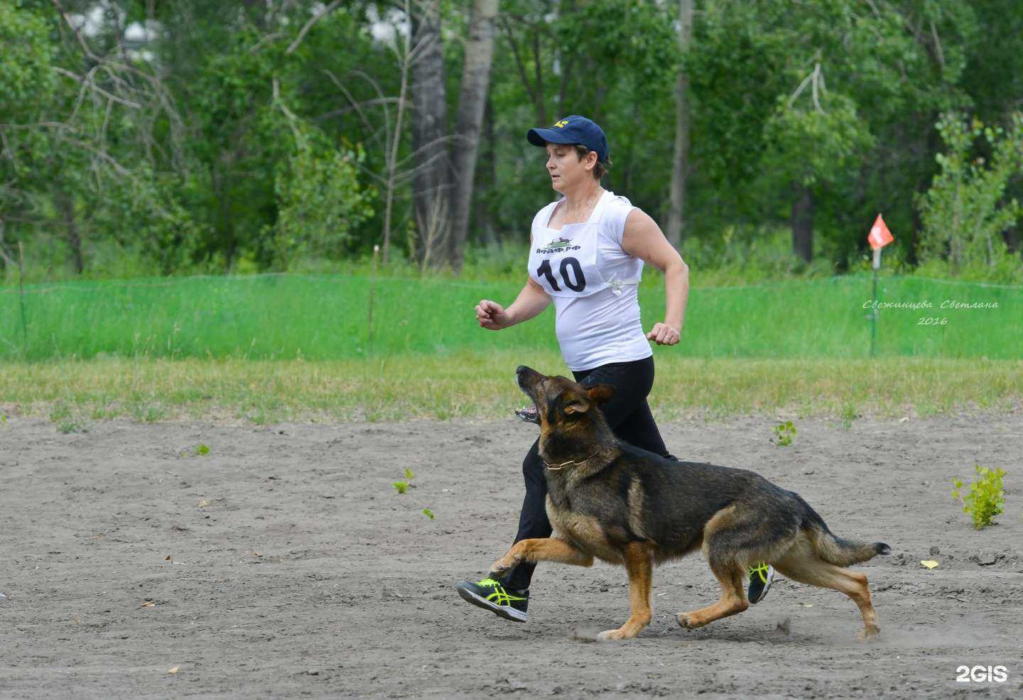 Отзывы на компанию Dog-Profi в Улан-Удэ c фото