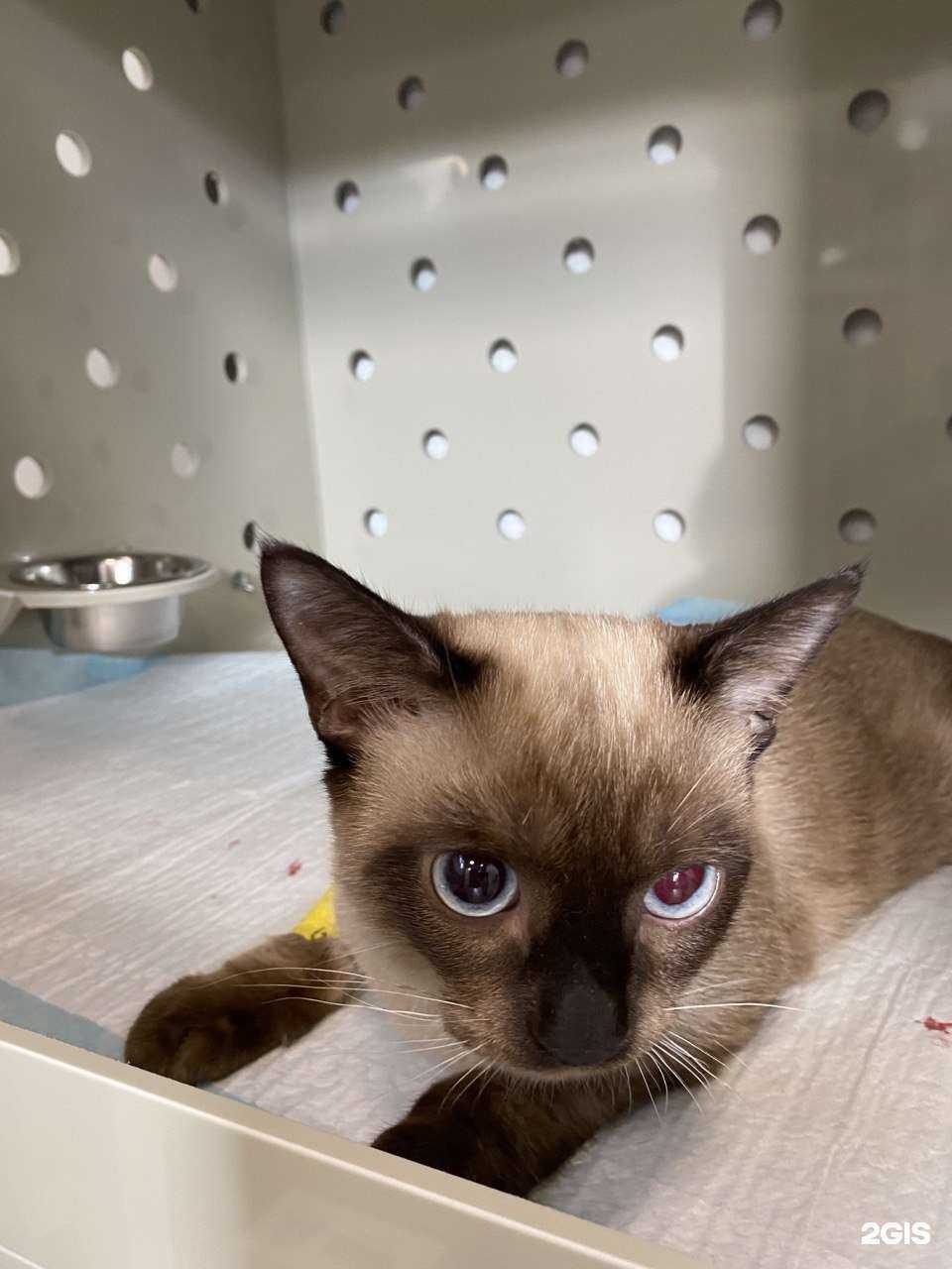 Отзывы на компанию Дейли в Оренбурге c фото